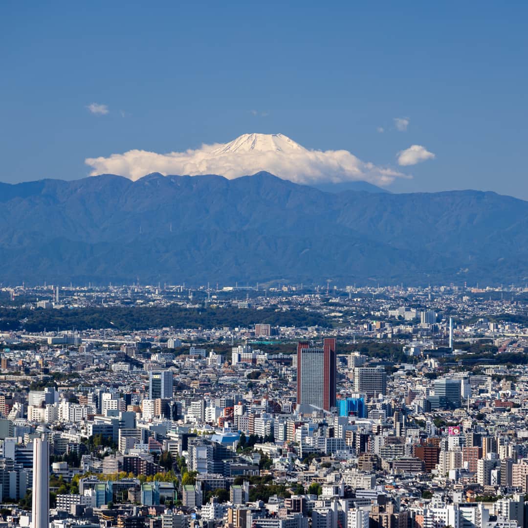 Tokyo City View 六本木ヒルズ展望台さんのインスタグラム写真 - (Tokyo City View 六本木ヒルズ展望台Instagram)「本日、六本木ヒルズ周辺は気持ちの良い秋晴れです🍂 🌞 空気が澄むと、東京シティビューからは富士山を観望いただくことも。山頂には雪が降り積もり、冬の訪れまで感じます⛄  東京シティビュー（六本木ヒルズ森タワー52F） tcv.roppongihills.com/jp  撮影：荒谷良一  #六本木ヒルズ展望台 #東京シティビュー #展望台 #夕景 #富士山 #景色 #荒谷良一 #RoppongiHillsObservation #TokyoCityView #TCV #mtfuji #mtfujiphoto_ig #mtfujijapan #mtfuji_fpn #Tokyo # #japantravel #tokyo #roppongi #RyoichiAratani #travelgram #japantrip #japan_daytime_view #japan_of_insta #bestjapanpics #tokyomuseum #artoftheday」10月17日 13時25分 - tokyocityview