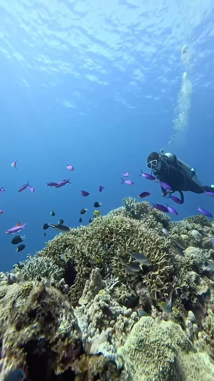 リナフランチェスカのインスタグラム