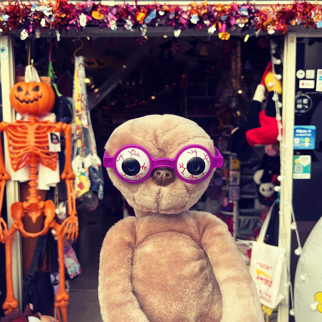 おもちゃやSPIRALのインスタグラム：「つけるだけで楽しい目玉🕶️も入荷してます🎃  是非Halloweenに💜」