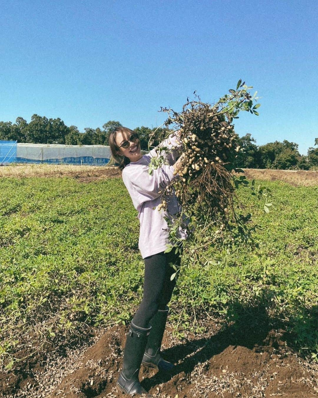 土屋巴瑞季さんのインスタグラム写真 - (土屋巴瑞季Instagram)「おおまさり🥜と さつまいも🍠を掘りに！ 久しぶりに土を触った〜 楽しかった〜 帰りは成田山で鰻😋 帰ってすぐに茹でて食べた味が最高でした🫶🏻」10月17日 14時59分 - hazukitsuchiya