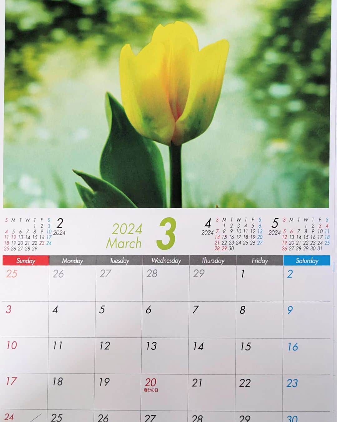 大塚咲さんのインスタグラム写真 - (大塚咲Instagram)「カレンダー作りました！2024年ももうすぐですね～👀  今年はA4サイズ、書込みしやすいデザインです。  あまり作っていないのでお早めに✨✨🔥🔥  よろしくお願いいたします✨  #2024年カレンダー」10月17日 15時42分 - otsukasaki_