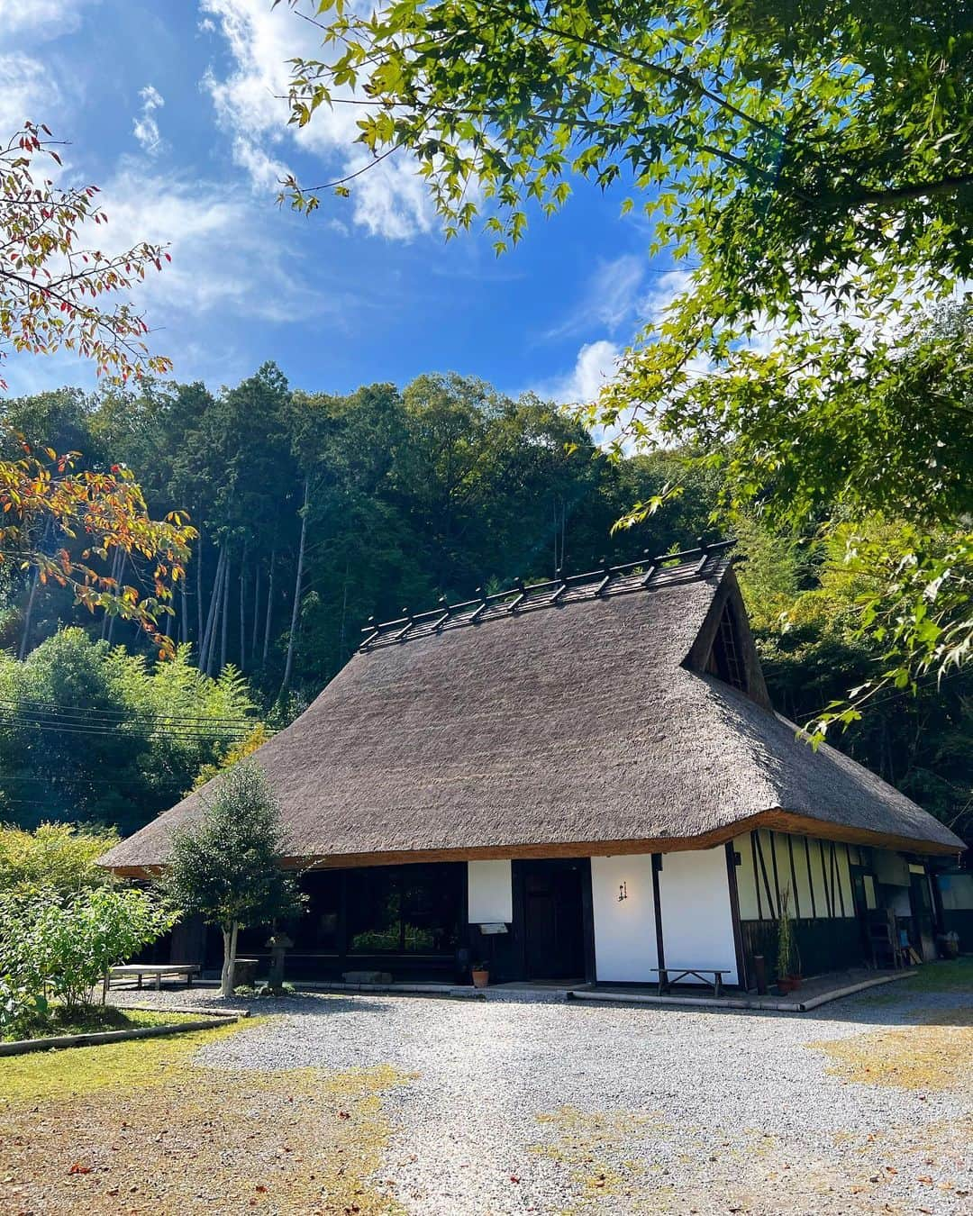 林香里のインスタグラム：「・ ・ もう毎年恒例になっている、いつメンと 大人の遠足📍丹波篠山🌰🌾🍁  朝一で解禁したばかりの丹波黒枝豆を求めて 道の駅　丹波おばあちゃんの里で👵🏻🍵 新鮮な野菜や新米も、がっつりお買い物完了🫡  風情溢れる茅葺き屋根の古民家が素敵な  @ryoriyayamayu で和ランチ🥢  立派な栗がごろっと入った栗ご飯、 濃厚な栗味噌で頂く丹波豚の炭火焼きと 栗がいっぱい楽しめた季節限定 丹波栗御膳 めちゃくちゃ美味しかったぁー😋🤤🌰  #丹波篠山#丹波篠山グルメ#丹波篠山ランチ」