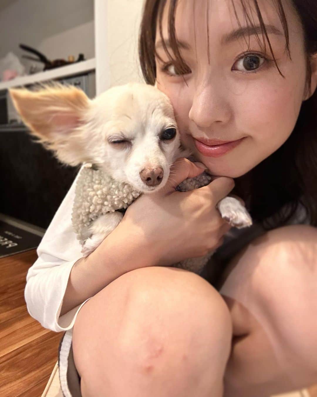 津田萌夏のインスタグラム：「.  1日ぶりに会ったミルと撮ってみた😀🤍  . . .  . . .  #うちのわんこ  #うちのわんこの愛されショット  #うちのわんこが可愛すぎる  #チワックス #シニア犬」