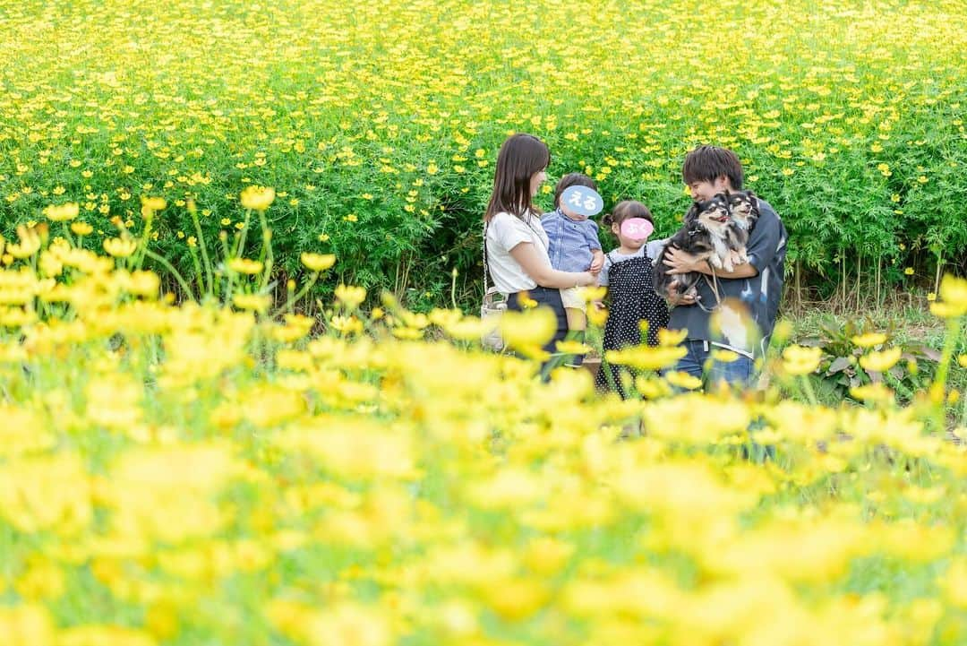 あつろーさんのインスタグラム写真 - (あつろーInstagram)「先日えるくんの2歳の誕生日のお祝いで、松川さんに素敵な写真を撮っていただきました☺️✨ @ties.photography  . 今回も凄い素敵な写真ばかりで感動😭 そしてまろころとも写真が撮れて幸せでした👀 . #家族写真 #2歳誕生日 #2歳差育児 #チワックス #家族大好き」10月17日 16時15分 - atsu6u