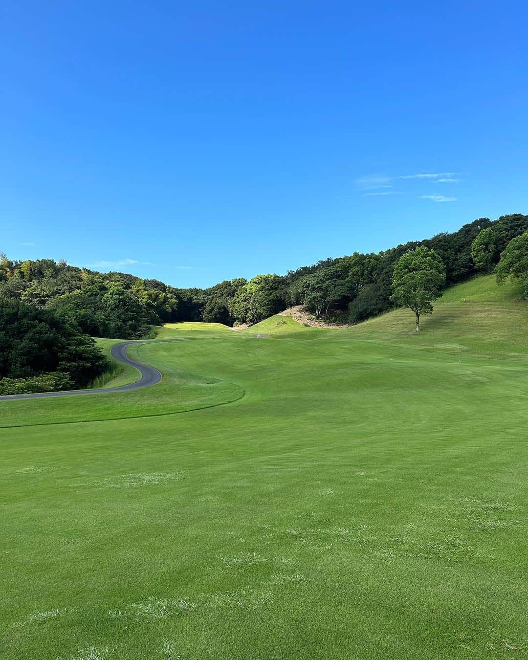 【公式】NEMUのインスタグラム：「こんにちは🥰💕 NEMUGOLFCLUBです⛳️🩵  本日１７日はNEMUGOLFCLUBのSDGsDAYを開催しております🥺⛳️  ７月から開始して今回で4回目の取り組みです😌🌻  本日ご来場いただいたお客様に木のティをプレゼント🎁しております🎵✨✨  無料でSDGsDAYのコンペにも参加できます😆❤️  参加方法🙆‍♀️ 1️⃣当日ナビにスコアを入力 2️⃣SDGsの取り組みに協力（コース内の目土、ゴミ拾い等）  17位になったお客様にはプレー券をプレゼント🎁致します😌❣️  地球🌏に優しく、皆さんでゴルフ⛳️を楽しみましょう😊  #sdgs #nemugolfclub #ネムゴルフクラブ #リゾートゴルフ #持続可能な開発目標 #ゴルフ女子 #ゴルフ男子 #ゴルフ好きな人と繋がりたい #ゴルフクラブ」