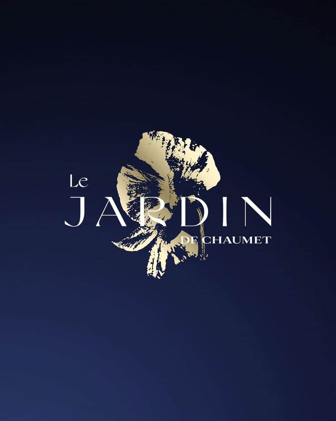 Chaumetさんのインスタグラム写真 - (ChaumetInstagram)「Indulge in poetic elegance with our Arum necklace from Le Jardin de Chaumet High Jewellery collection.  Its versatile 'V' aigrette design exudes bold elegance. Crafted with Chaumet's unmatched artistry, white gold transforms into a graphic masterpiece, showcasing the essence of a calla lily. Adorned with an emerald-cut yellow sapphire wheighing more than 10 carats, it's a poetic tribute to nature's beauty.  #Chaumet #LeJardindeChaumet #ChaumetHighJewellery」10月17日 16時36分 - chaumetofficial