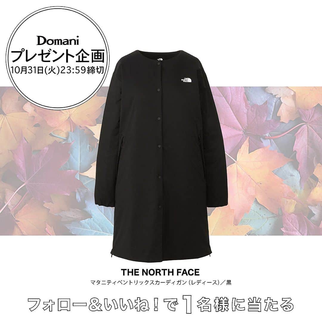 Domani編集部公式アカウントのインスタグラム