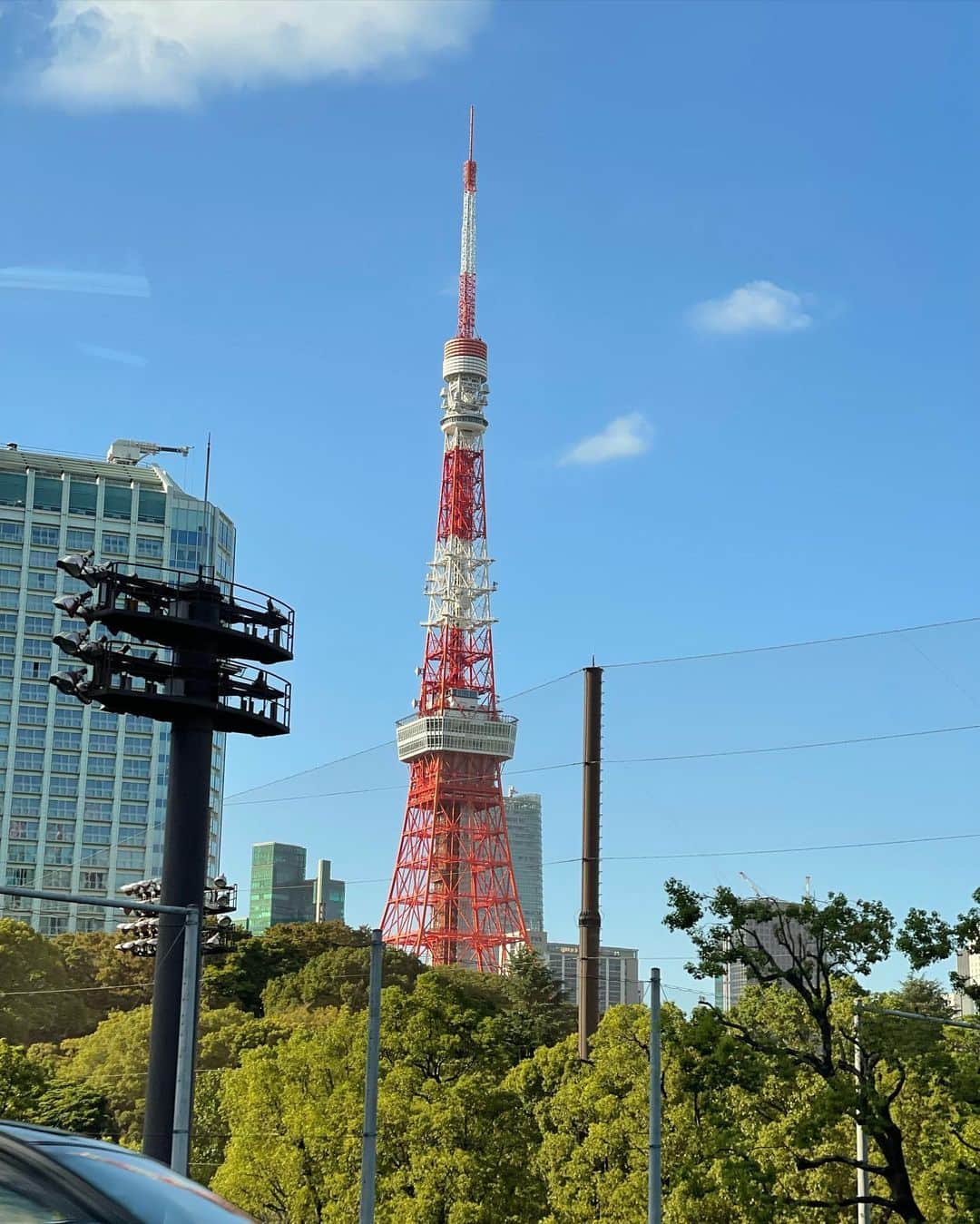 マイ・ダーウィカーさんのインスタグラム写真 - (マイ・ダーウィカーInstagram)「One day in Japan ❤️」10月17日 17時10分 - davikah