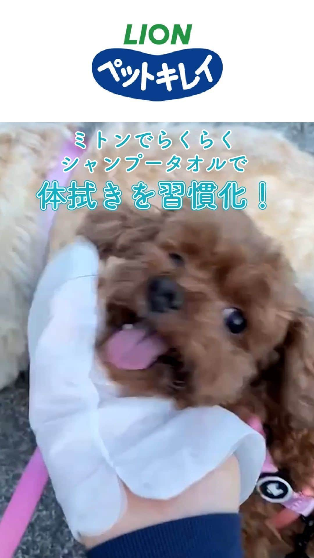 ライオン商事株式会社のインスタグラム：「＼なでなでスッキリ👋✨🐶／  ワンちゃんとお出かけしやすいシーズン到来ですね🍁  ペットキレイ #ミトンでらくらくシャンプータオル は 手を入れて使う『ミトンタイプ』のシャンプータオル。  わんちゃんをなでなでする感覚で、 体の汚れやニオイをスッキリふきとれます！🤩 “よれにくい”形状なので、お腹や手足、しっぽまで らくらくふけちゃいますよ👍✨  お散歩やお出かけから帰った後や、 シャンプーとシャンプーの合間のお手入れにもおすすめ‼️  秋の行楽シーズンのお供にいかがでしょうか？ ぜひお試しくださいこの商品について「気になる！」、 「知っているよ！」という方は、コメント欄で教えてくださいね💬😄  #ペットキレイ #犬とおでかけ #秋 #お出かけスポット #シャンプータオル#お出かけ #いぬとの生活 #いぬ好きさんと繋がりたい #いぬ #イヌ #犬 #わんこ #ワンコ #いぬスタグラム #イヌスタグラム #犬スタグラム #わんこのいる生活 #ワンコのいる生活 #イヌのいる生活 #イヌのいる暮らし #lionpet #lionpetdog #ライオンペット #いぬとのくらし #イヌ部 #犬大好き部 #いぬとくらす」