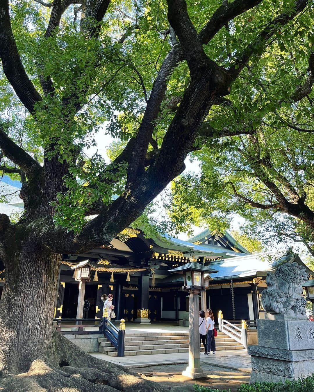 兼田恵さんのインスタグラム写真 - (兼田恵Instagram)「ここは美しいのですよ お天気よくて気持ちよかったー✨  #穴八幡宮 #穴八幡宮神社 #早稲田 #朱色が綺麗 #通りすがりの #お参り」10月17日 17時34分 - earl_megu