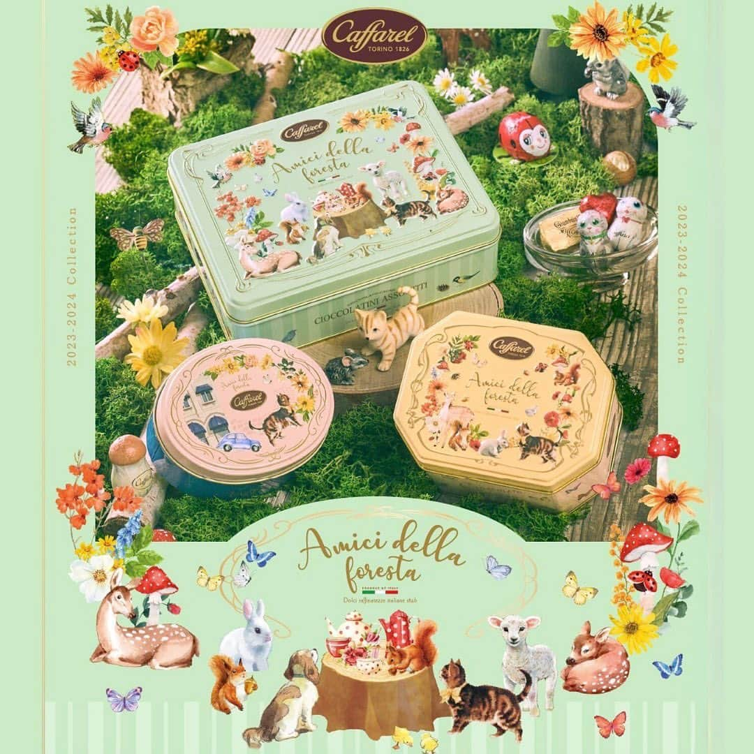 カファレルチョコレートのインスタグラム：「・ 本日から販売開始🤍  NEWコレクション✨ 【Amici della Foresta】「森の友達」シリーズ🐈🍄  クラシックなテイストの可愛らしいデザインが人気のコレクター缶に、トリノに住む1匹のねこを主人公に描いた新デザインが仲間入り。  トリノの街に住んでいる1匹のねこが、 ある日街を飛び出して。。 森の中に迷い込み、たくさんの動物 たちと出会い、新しいお友達と仲良く ティータイムをする様子が描かれています🐈  #カファレル  #caffarel  #ジャンドゥーヤ #ねこ」