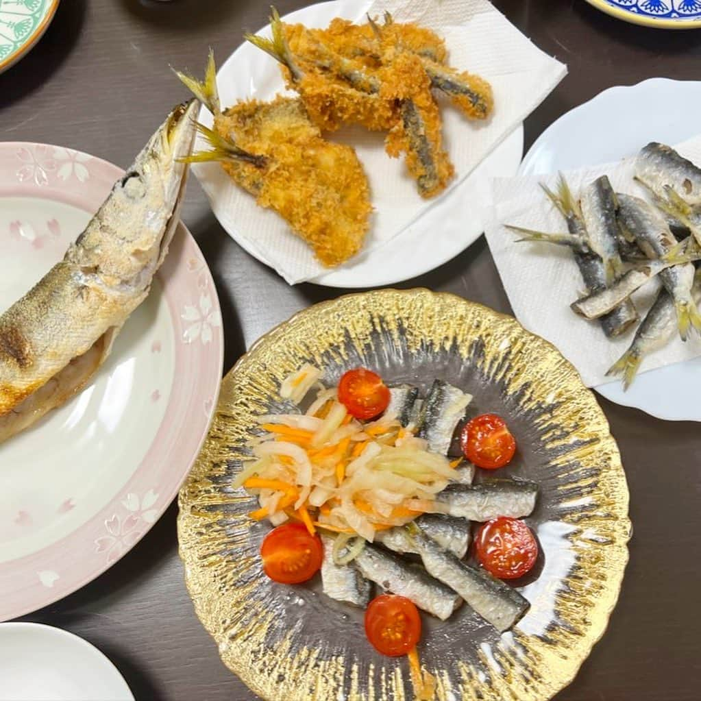 ゆうひなたさんのインスタグラム写真 - (ゆうひなたInstagram)「. . . ぱぱ、ゆうひないちかで 千葉県まで初魚釣り🎣！！ 朝4時から出発して 存分に楽しんだみたい🥰. . . みんなが頑張って釣ってきた魚を おかんが頑張って調理！ 鱗取るのが大変やった🤣🤣. . . 全部美味しかったけど カマスが断トツ美味しすぎた🥹❣️. . .」10月17日 18時19分 - yu_hinataxx