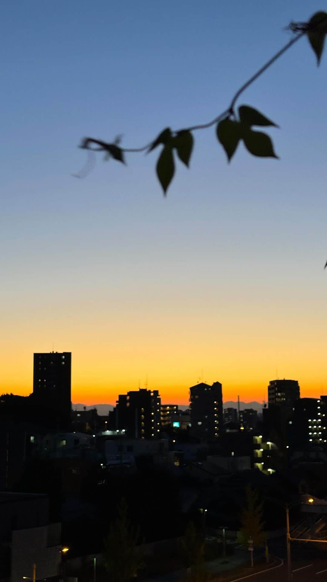 倉地美晴のインスタグラム：「🌞🌜」