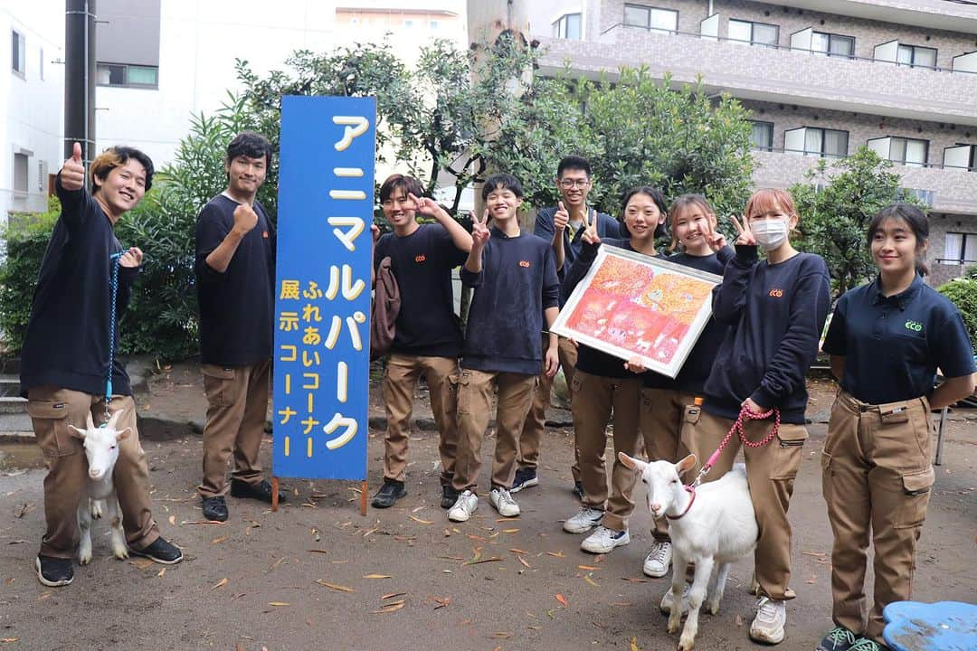 【公式】東京コミュニケーションアート専門学校ECOのインスタグラム：「10月15日（日） 葛西まつりが行われ、動物ワールドの学生さん達が参加し、会場を盛り上げました😊  雨天にも関わらず、多くのお客様が訪れていたようです😳 午後は何とかお天気も回復し、皆さん楽しんで頂けたのではないでしょうか？  びしょ濡れになりながらも、1日笑顔で頑張った学生さん達に拍手です👏 合間の休憩時間には、イベントを見学して学生さんも楽しんだそうです🌱  学生の皆さん、お疲れ様でした😊 また、ご来場下さった皆様、ありがとうございました✨  ちなみにお写真内にある動物✖︎紅葉のイラストも、学生さんが描いてくれたそうです😽🍁  . ・－・－・－・－・－・－・－・－・ ⁡ 学校説明会やオープンキャンパスも実施しております🐰🌱 ぜひご参加ください🕊🛰 ⁡ ・－・－・－・－・－・－・－・－・ ⁡ #tca東京eco動物海洋専門学校 #tcaeco #動物 #海洋 #ペット #自然環境 #恐竜 #専門学校 #オープンキャンパス #oc #進路 #動物園 #飼育員 #葛西まつり」