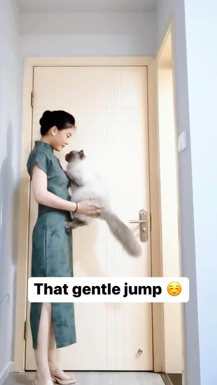 Cute Pets Dogs Catsのインスタグラム：「That gentle jump ☺️  Credit: adorable @天方夜谭Plus | DY ** For all crediting issues and removals pls 𝐄𝐦𝐚𝐢𝐥 𝐮𝐬 ☺️  𝐍𝐨𝐭𝐞: we don’t own this video/pics, all rights go to their respective owners. If owner is not provided, tagged (meaning we couldn’t find who is the owner), 𝐩𝐥𝐬 𝐄𝐦𝐚𝐢𝐥 𝐮𝐬 with 𝐬𝐮𝐛𝐣𝐞𝐜𝐭 “𝐂𝐫𝐞𝐝𝐢𝐭 𝐈𝐬𝐬𝐮𝐞𝐬” and 𝐨𝐰𝐧𝐞𝐫 𝐰𝐢𝐥𝐥 𝐛𝐞 𝐭𝐚𝐠𝐠𝐞𝐝 𝐬𝐡𝐨𝐫𝐭𝐥𝐲 𝐚𝐟𝐭𝐞𝐫.  We have been building this community for over 6 years, but 𝐞𝐯𝐞𝐫𝐲 𝐫𝐞𝐩𝐨𝐫𝐭 𝐜𝐨𝐮𝐥𝐝 𝐠𝐞𝐭 𝐨𝐮𝐫 𝐩𝐚𝐠𝐞 𝐝𝐞𝐥𝐞𝐭𝐞𝐝, pls email us first. **」