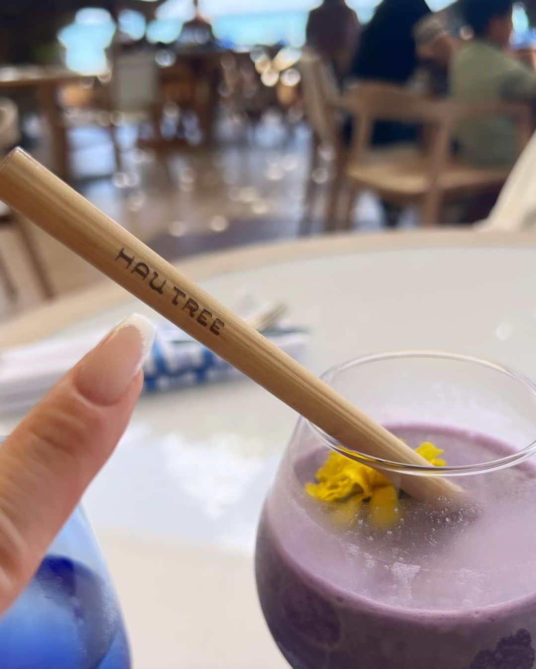朝風れいさんのインスタグラム写真 - (朝風れいInstagram)「💛🌴𝙷𝙰𝚄𝚃𝚁𝙴𝙴🌴💛  元祖エッグベネディクトなのかな？🥚 エッグベネディクトって、大好きで…🥹 あればいつも頼んじゃうくらいだから、このHawaii滞在中、何回食べたか分からないくらい😂  あ、あれ？盛ってるかも。多分、これ含め、2.3回かも🤣爆  それに比べたら、パンケーキを一回も食べなかったのは、悔やまれるところだから、リベンジ旅しなきゃかな😇  でも、多分ここだけの話、に国内で食べるエッグベネディクトの方が美味しい気がする🫢🫢🫢🫢🫢  #eggbenedict #classic #classiceggsbenedict #hautree #hautreelanai  #kaimana #kaimanabeach #kaimanabeachhotel  #trip #travel #hawaii #oahu #waikiki   #thekahala #thekahalahotelandresort #september #memories」10月17日 19時36分 - rei.wd