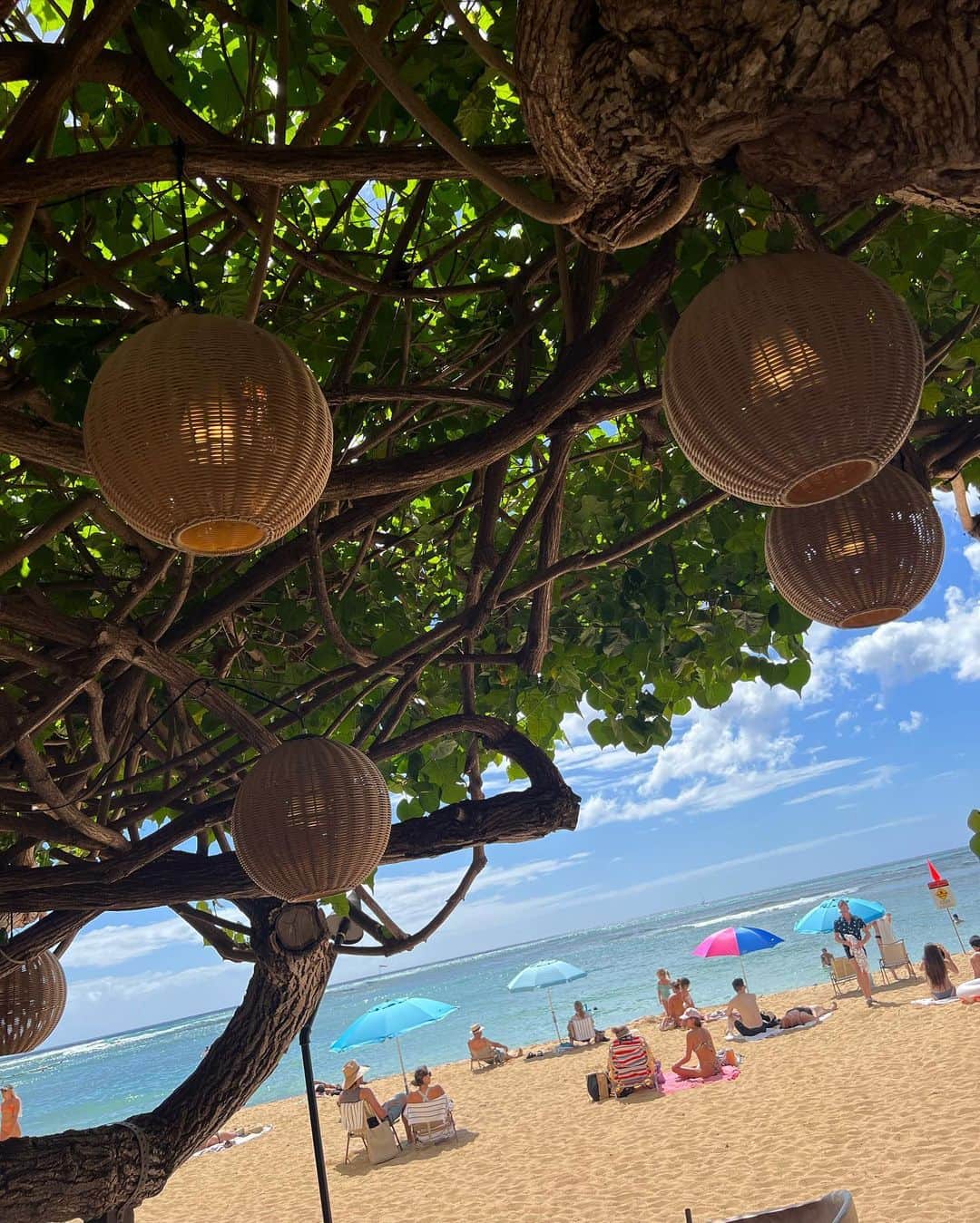朝風れいさんのインスタグラム写真 - (朝風れいInstagram)「💛🌴𝙷𝙰𝚄𝚃𝚁𝙴𝙴🌴💛  元祖エッグベネディクトなのかな？🥚 エッグベネディクトって、大好きで…🥹 あればいつも頼んじゃうくらいだから、このHawaii滞在中、何回食べたか分からないくらい😂  あ、あれ？盛ってるかも。多分、これ含め、2.3回かも🤣爆  それに比べたら、パンケーキを一回も食べなかったのは、悔やまれるところだから、リベンジ旅しなきゃかな😇  でも、多分ここだけの話、に国内で食べるエッグベネディクトの方が美味しい気がする🫢🫢🫢🫢🫢  #eggbenedict #classic #classiceggsbenedict #hautree #hautreelanai  #kaimana #kaimanabeach #kaimanabeachhotel  #trip #travel #hawaii #oahu #waikiki   #thekahala #thekahalahotelandresort #september #memories」10月17日 19時36分 - rei.wd