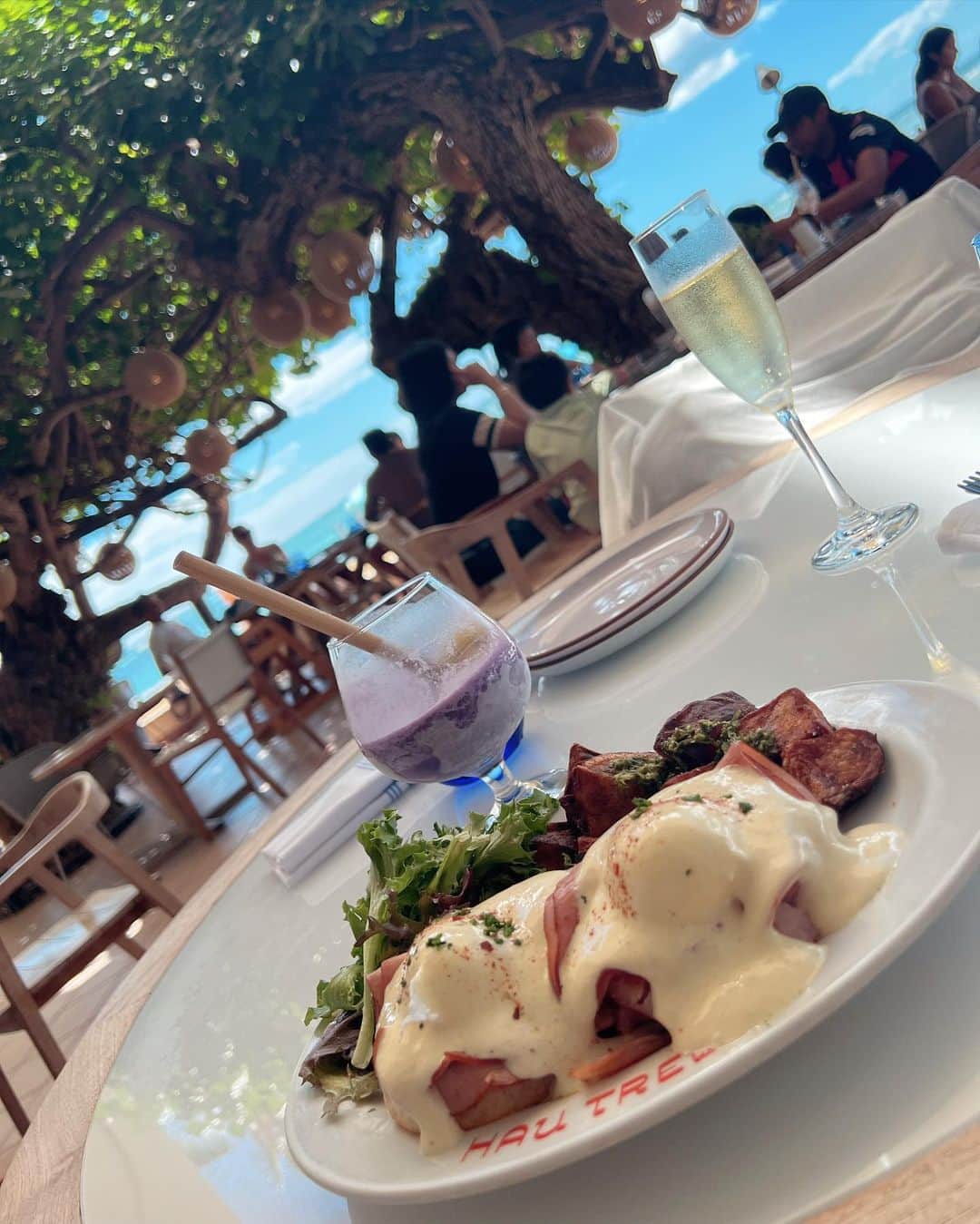 朝風れいさんのインスタグラム写真 - (朝風れいInstagram)「💛🌴𝙷𝙰𝚄𝚃𝚁𝙴𝙴🌴💛  元祖エッグベネディクトなのかな？🥚 エッグベネディクトって、大好きで…🥹 あればいつも頼んじゃうくらいだから、このHawaii滞在中、何回食べたか分からないくらい😂  あ、あれ？盛ってるかも。多分、これ含め、2.3回かも🤣爆  それに比べたら、パンケーキを一回も食べなかったのは、悔やまれるところだから、リベンジ旅しなきゃかな😇  でも、多分ここだけの話、に国内で食べるエッグベネディクトの方が美味しい気がする🫢🫢🫢🫢🫢  #eggbenedict #classic #classiceggsbenedict #hautree #hautreelanai  #kaimana #kaimanabeach #kaimanabeachhotel  #trip #travel #hawaii #oahu #waikiki   #thekahala #thekahalahotelandresort #september #memories」10月17日 19時36分 - rei.wd