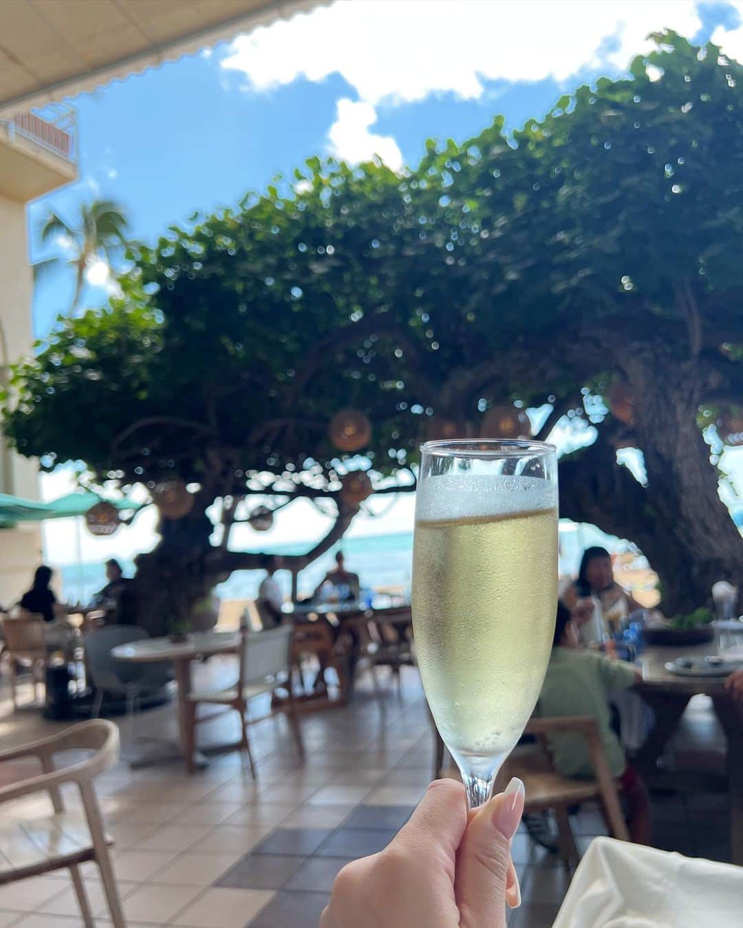 朝風れいさんのインスタグラム写真 - (朝風れいInstagram)「💛🌴𝙷𝙰𝚄𝚃𝚁𝙴𝙴🌴💛  元祖エッグベネディクトなのかな？🥚 エッグベネディクトって、大好きで…🥹 あればいつも頼んじゃうくらいだから、このHawaii滞在中、何回食べたか分からないくらい😂  あ、あれ？盛ってるかも。多分、これ含め、2.3回かも🤣爆  それに比べたら、パンケーキを一回も食べなかったのは、悔やまれるところだから、リベンジ旅しなきゃかな😇  でも、多分ここだけの話、に国内で食べるエッグベネディクトの方が美味しい気がする🫢🫢🫢🫢🫢  #eggbenedict #classic #classiceggsbenedict #hautree #hautreelanai  #kaimana #kaimanabeach #kaimanabeachhotel  #trip #travel #hawaii #oahu #waikiki   #thekahala #thekahalahotelandresort #september #memories」10月17日 19時36分 - rei.wd