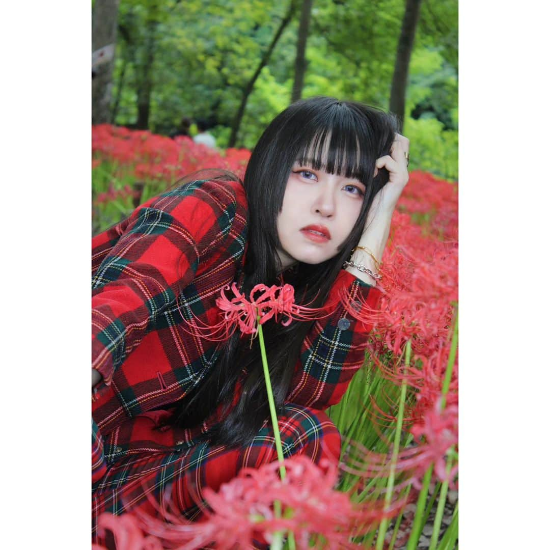 熊本アイのインスタグラム：「⁡⁡ 🟥⁡ ⁡⁡⁡ ⁡#portrait #portraitphotography #portraitmodel #ポートレート #ポートレートモデル #プルクラ撮影会 #撮影会 #撮影会モデル #彼岸花 #clusteramaryllis #lycoris #fashion #fashionstyle #setup #チェックコーデ #aikumamoto」