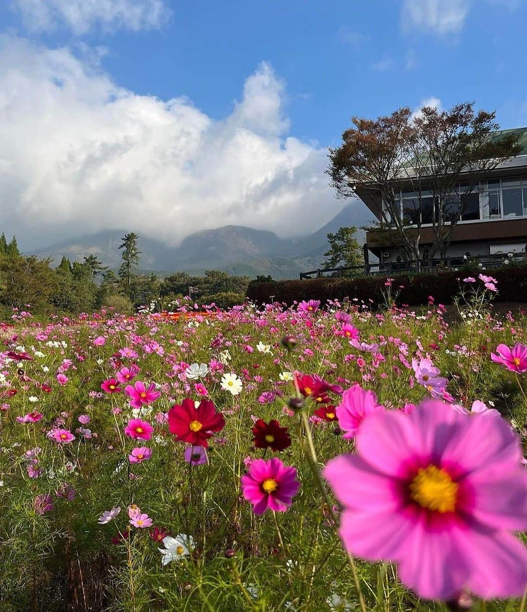 假屋崎省吾のインスタグラム