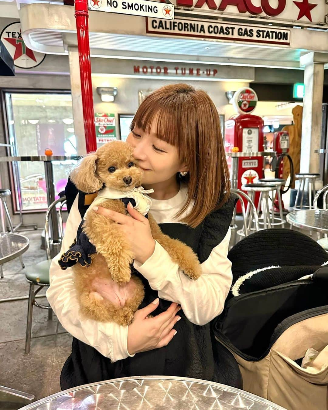 竹内渉のインスタグラム：「お台場はわんちゃんOKスポットが多くて 助かります🐶🧡 新しいハーネスも買ってもらえてよかったね🥰」