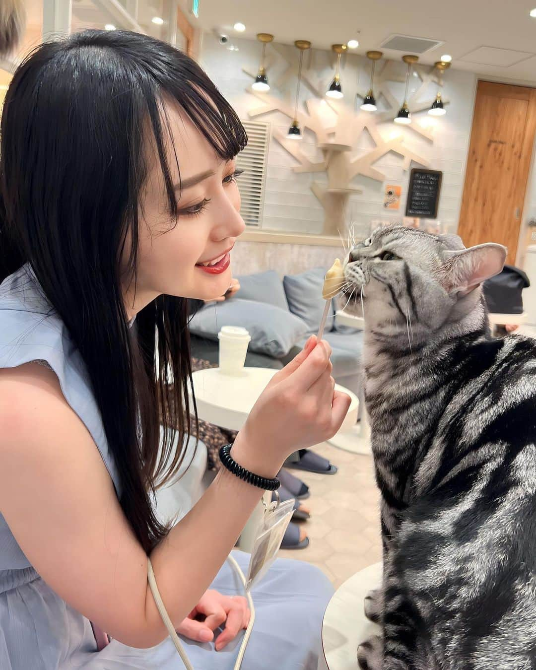 待鳥志織さんのインスタグラム写真 - (待鳥志織Instagram)「猫カフェ🐈☕️ 初めての猫ちゃん体験... 癒やしすぎた... #猫カフェ」10月17日 22時35分 - __.shiori_