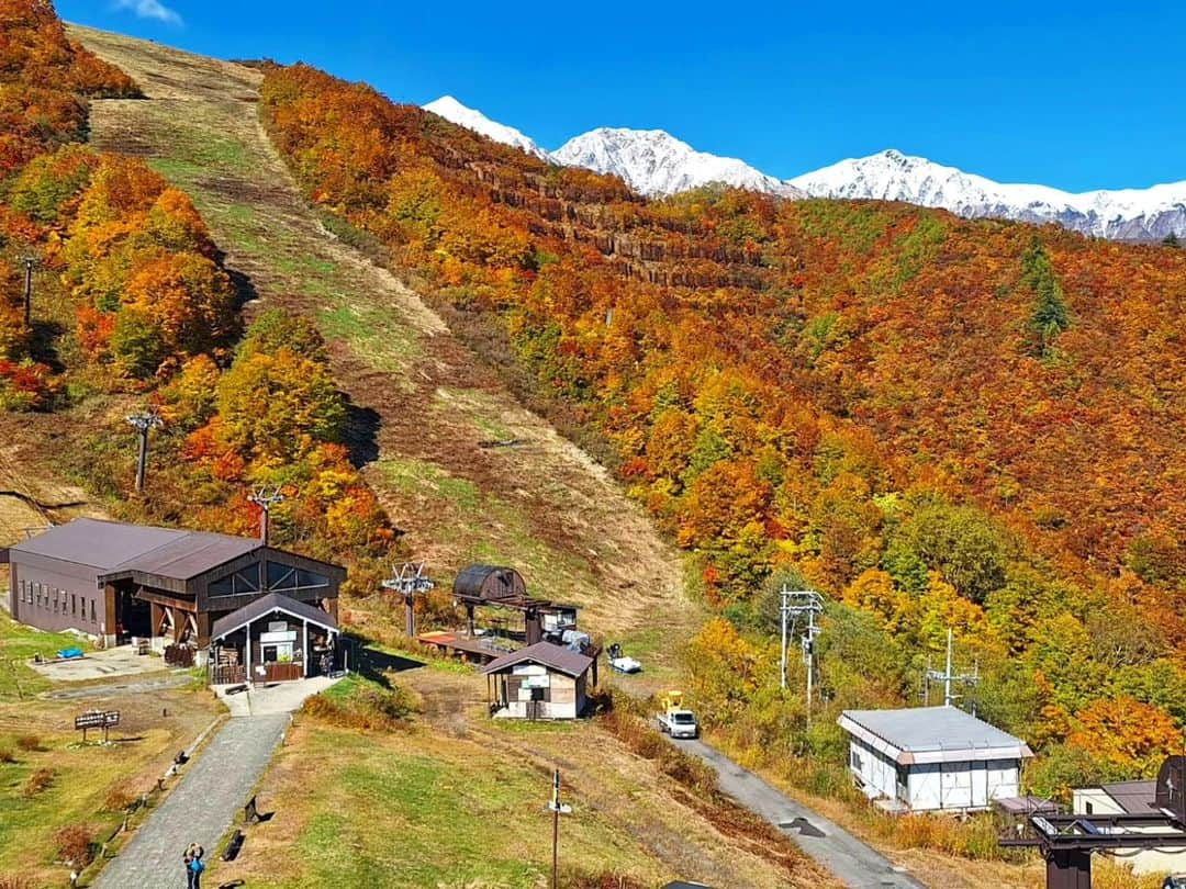 白馬八方尾根スキー場のインスタグラム：「本日のうさぎ平テラスは快晴でした☀  紅葉もどんどん進んでいます🍁 今の時期限定で、初冠雪を迎えた山の白、紅葉の赤黄、麓の緑の三段紅葉を楽しめます！  八方アルペンラインの営業は11月5日まで♪  八方池👉 https://www.happo-one.jp/happo-ike/  10月29日までの毎週土日はガイド付き八方池トレッキングツアーも開催中👉 https://www.happo-one.jp/event-green/29808/  気温が低いため、暖かい格好でお越しください◎  ※八方尾根自然研究路第２ケルンのトイレは閉鎖しております。八方池山荘横トイレが最終です。 ※うさぎ平テラス女子トイレは修繕工事中です。ゴンドラ降車口横の仮設トイレをご利用ください。 ご迷惑をおかけしますが、ご理解の程よろしくお願いいたします。  #happo #happoone #hakubahappo #hakubavalley #hakubaonsen #happoike #autumn #白馬 #八方尾根 #八方池 #八方池トレッキング #紅葉 #八方アルペンライン」