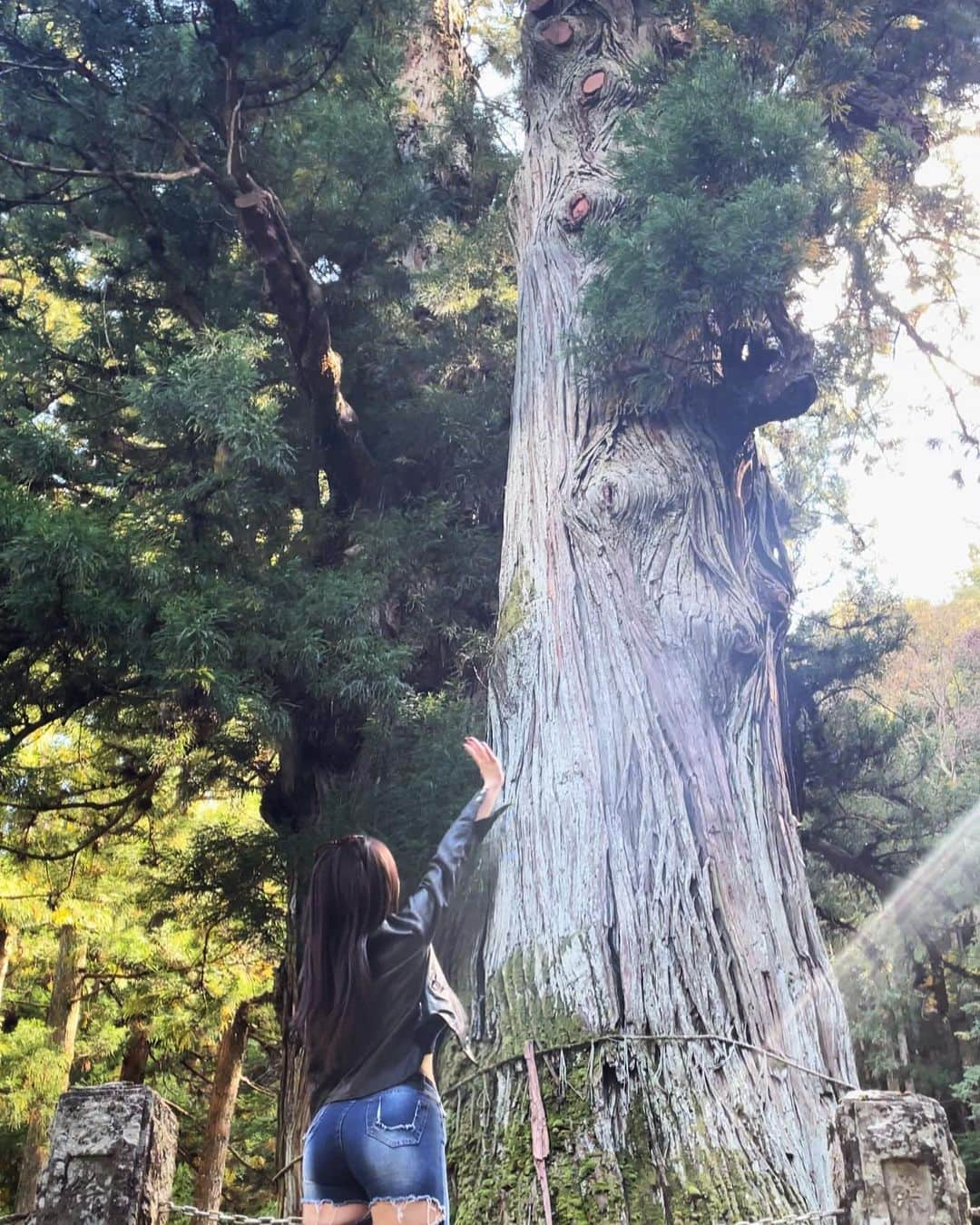 ＬＩＮＣＡさんのインスタグラム写真 - (ＬＩＮＣＡInstagram)「📍🇯🇵栃木県　塩原八幡宮 This is a shrine located in Shiobara City, Tochigi Prefecture.  私の大好きな塩原に また素敵なところを見つけたのでシェアするね🌙  車通りのある脇にこっそりあって入ったらもう まるでジブリのbgmでも流れてきそうな 神秘的な人気のない空間に 塩原八幡宮があって その奥に私の大好きな赤の鳥居のミニマム神社 綺麗な鯉も沢山いて  そして真ん中には大きな立派な木🌳  めちゃくちゃ良かった。  実は、趣味が神社やお寺巡りなので 皆さんのおすすめもあったら教えてください❤︎⛩  日本生まれ日本育ち全日本だけど 日本の素晴らしさに毎日感謝👼🏻🙏  #japan #japantravel  #japanphoto  #japanesegirl」10月17日 23時01分 - linstgram1217