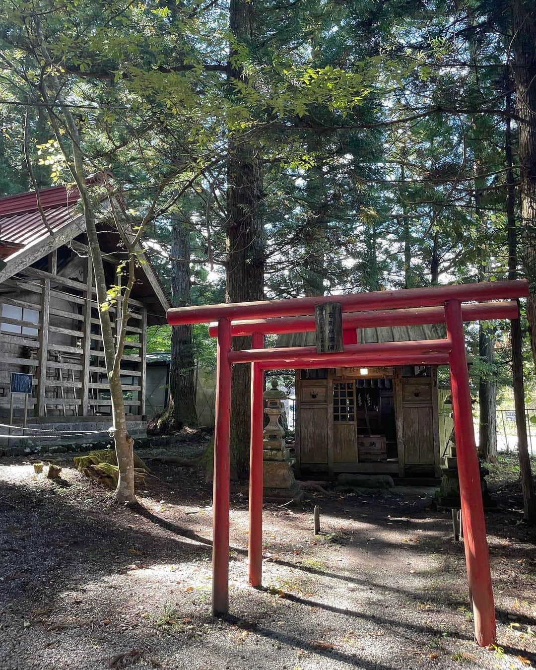 ＬＩＮＣＡさんのインスタグラム写真 - (ＬＩＮＣＡInstagram)「📍🇯🇵栃木県　塩原八幡宮 This is a shrine located in Shiobara City, Tochigi Prefecture.  私の大好きな塩原に また素敵なところを見つけたのでシェアするね🌙  車通りのある脇にこっそりあって入ったらもう まるでジブリのbgmでも流れてきそうな 神秘的な人気のない空間に 塩原八幡宮があって その奥に私の大好きな赤の鳥居のミニマム神社 綺麗な鯉も沢山いて  そして真ん中には大きな立派な木🌳  めちゃくちゃ良かった。  実は、趣味が神社やお寺巡りなので 皆さんのおすすめもあったら教えてください❤︎⛩  日本生まれ日本育ち全日本だけど 日本の素晴らしさに毎日感謝👼🏻🙏  #japan #japantravel  #japanphoto  #japanesegirl」10月17日 23時01分 - linstgram1217