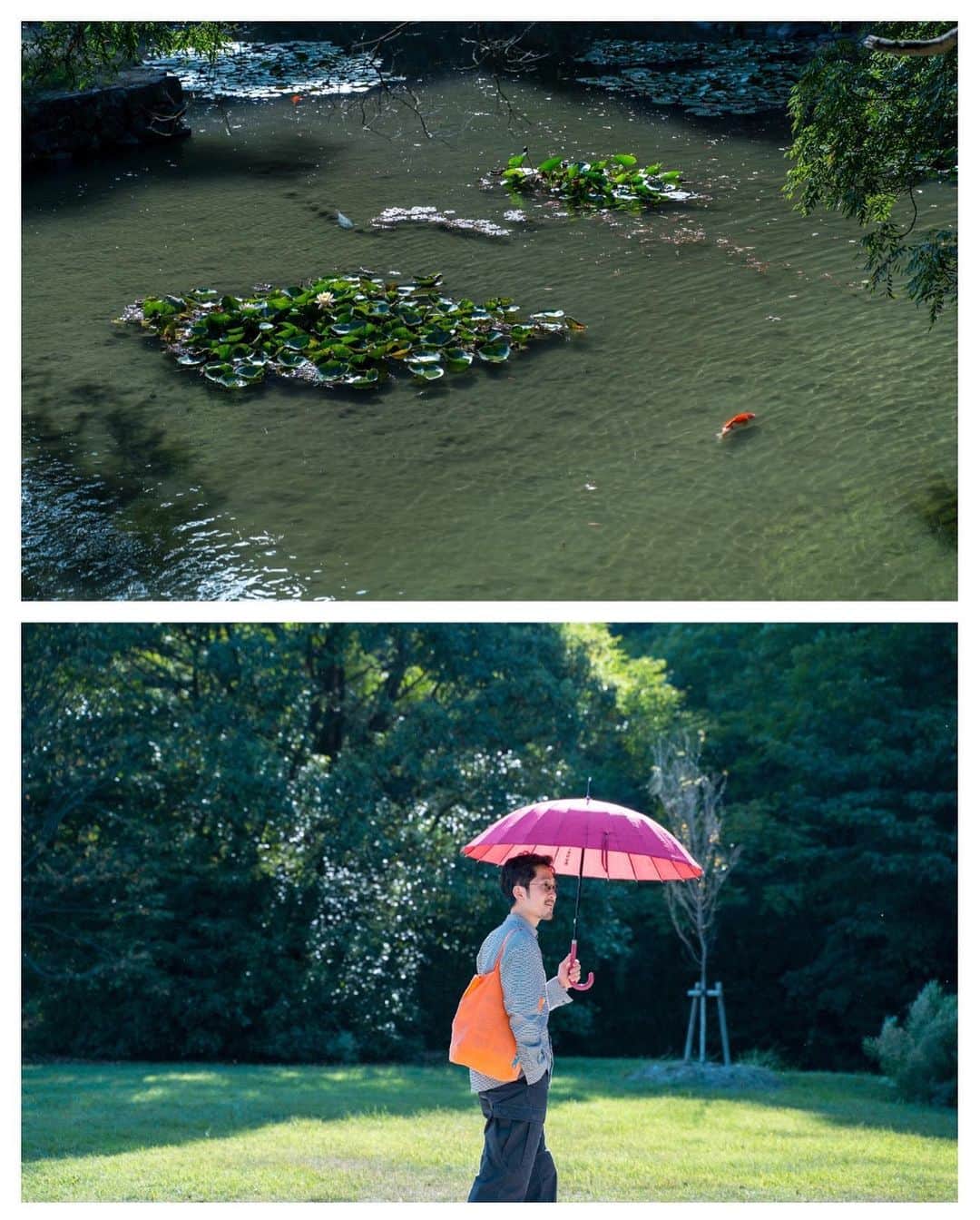 木村華子さんのインスタグラム写真 - (木村華子Instagram)「家族旅行で行った高松の栗林公園。 とにかく広大で美しい庭園。 工芸が見れる工芸館や、家具の展示、お茶室もあり見どころも沢山でした。 池も尋常じゃなく広くて、鯉がのびのびと気持ちよさそう。 . . .  #japan #kagawa #carp #travelphotography #travel #photo #photography #photooftheday #photoshoot #sony #photographer #japantrip #japantravel #japanlife #写真 #撮影 #香川旅行 #高松 #香川 #香川観光 #栗林公園 #旅行 #旅写真 #ミラーレス一眼 #フォトグラファー #🐟」10月17日 23時23分 - hanako_kimura_days