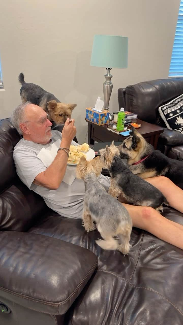 のインスタグラム：「Allie, Max, Sammy & Misty 💭 Daddy said “That’s it! Shove off!” But we heard “Stay right here until I finish” so we did! 😛♥️🫶🏼🥰😋🤭 #DinnerTime #SharingIsCaring  #BestDaddyInTheWorld #ChickenPotPie #YummyToOurTummies #WeLoveYouDaddy #FurChildren #BestDogsInTheWorld #EyesOnThePrize #👀」