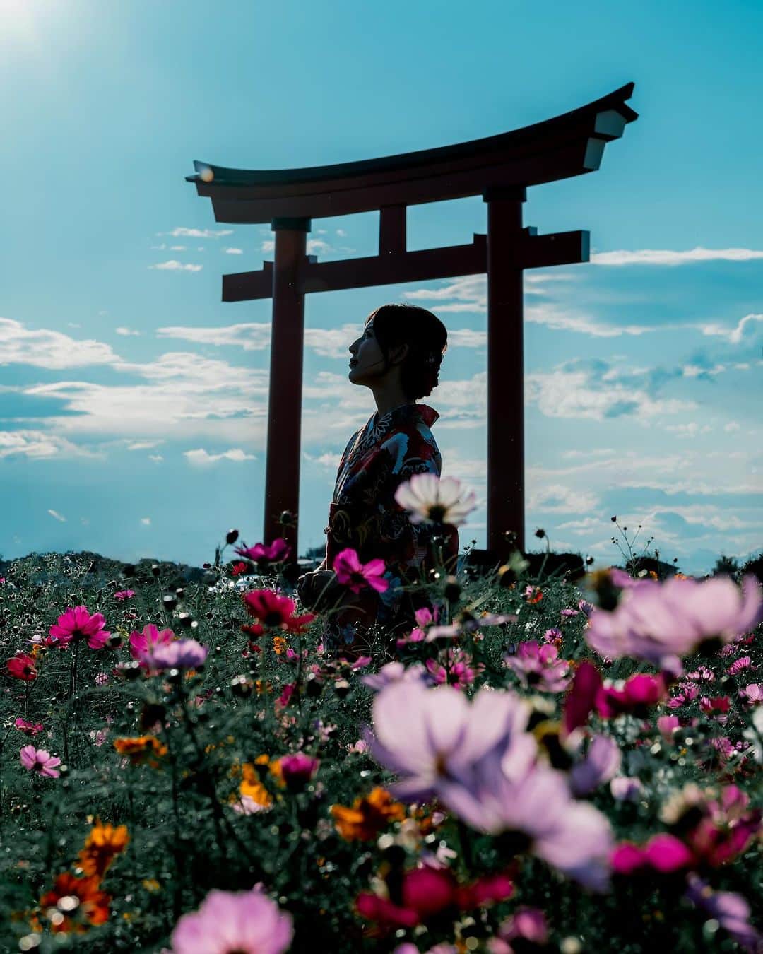 shabonのインスタグラム：「* . . . . . お久しぶりのみっきーとの撮影。 楽しかったー🥰🫶 . 丁度お祭りでお花の摘み取りも OKでした🥹🌸 . . model : @borzoi.mu . special thanks. @hakuchuu1882  . . FUJIFILM X-T5 /  XF50-140mm F2.8 R LM OIS WR . . . . . . *」