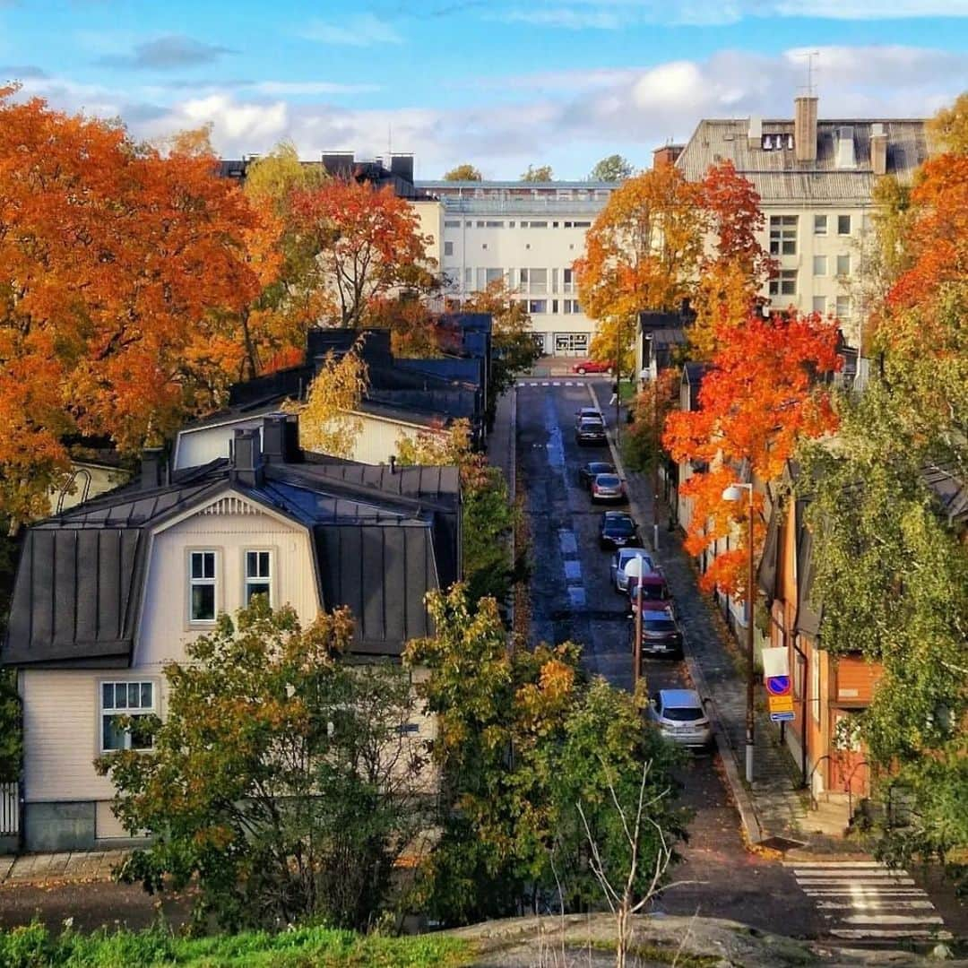 フィンランド政府観光局のインスタグラム：「ヘルシンキの木々もどんどん色づいてきました。🍁 ． 📸 @cristo_pihlamae_photography Kiitos! 🙏  #visitfinland #ourfinland #visitfinlandjp #finland #北欧旅行 #travelgram #フィンランド #フィンランド政府観光局 #北欧 #travel #instatravel #travel #travelgram #travelling #traveler #旅したくなるフォト #旅行 #旅 #海外旅行 #travelphotography #旅行大好き #旅行好き #旅スタグラム #旅好き #ヨーロッパ旅行 #旅に出たい #トラベル #紅葉 #myhelsinki #ヘルシンキ」