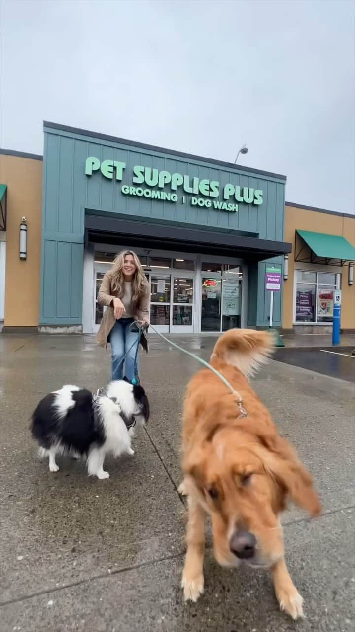 Monica Churchのインスタグラム：「#Ad This is your sign to give your dog a ✨spoil day✨. The boys loved getting some sniffs in at @petsuppliesplus, and I loved the convenience of getting everything I needed all in one place! #minusthehassle. Lily is already feeling so much better, and all 3 love their new beds! Get 15% off your purchase at participating locations with my code 89492! Link in bio!」