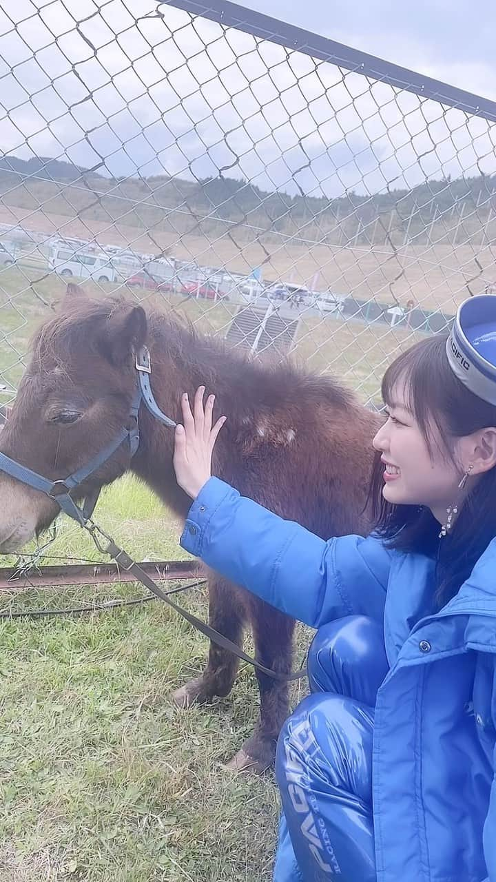 八伏紗世のインスタグラム：「お疲れ様〜♡  みなさん 可愛いポニーちゃんで 癒されてください🩷🩷🩷🩷  #ポニー#可愛い#愛おしい#きゅん #レースクイーン#オートポリス#japanesegirl」