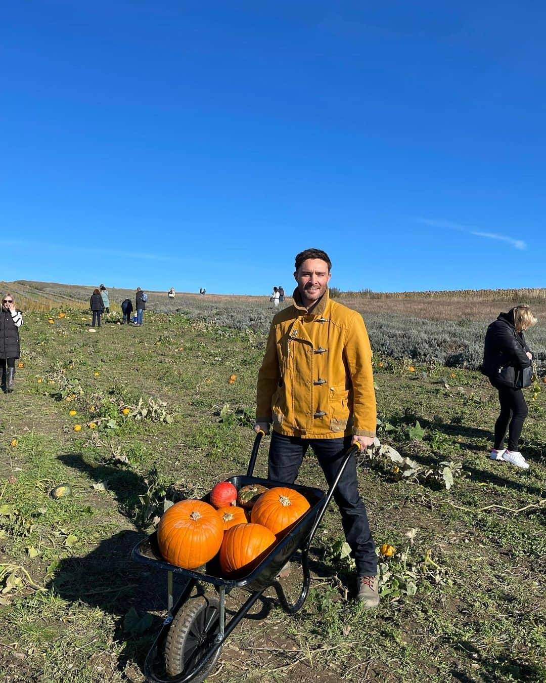 エド・ウェストウィックさんのインスタグラム写真 - (エド・ウェストウィックInstagram)「Ello pumpkin ;)」10月17日 23時43分 - edwestwick