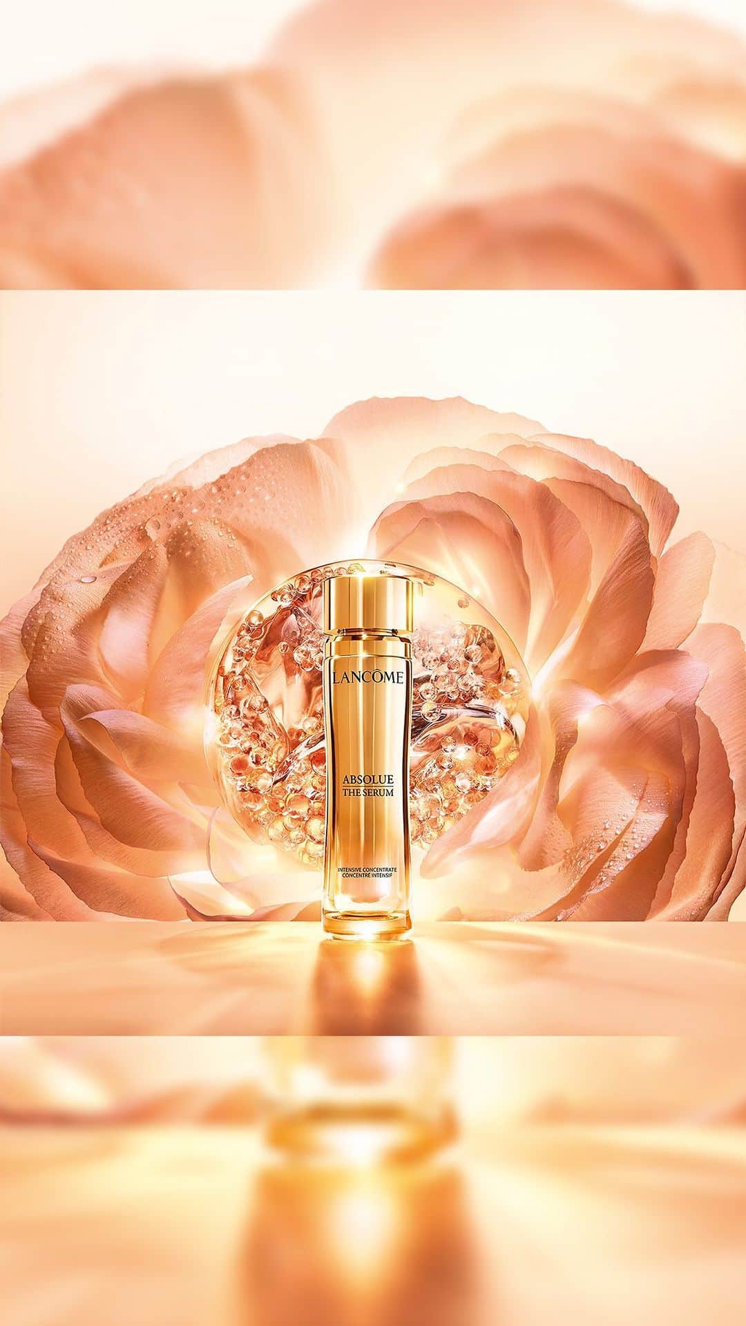 のインスタグラム：「Absolue The Serum, a rising star. An intensive concentrate formulated with millions of exclusive and patented Absolue Perpetual Rose™ Molecular Fractions, proven to accelerate skin’s epidermal cell renewal. With this daily serum, skin’s density feels re-established.  #Lancome #LancomeAbsolue #Serum #Skincare」