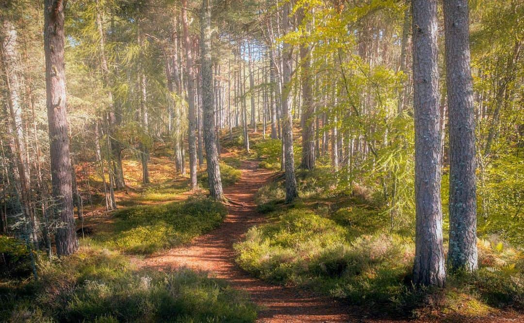 Fujifilm UKさんのインスタグラム写真 - (Fujifilm UKInstagram)「Which spot in Scotland do you enjoy photographing the most? 🏴󠁧󠁢󠁳󠁣󠁴󠁿   "It’s easy to search for Scotland’s iconic spots online, but with rugged landscape, mountains, and lochs around every corner, finding your own path to adventure photography is much more fun.   "I recently took a road trip up to Scotland in my 1994 Hymer. Travelling by campervan allows you to determine your own route and locations to visit without being constrained by schedules. It really is the ultimate sense of freedom!"  📸 FUJIFILM X-Photographer @emily_endean_photography  #FUJIFILMXT3  1️⃣ XF14mmF2.8 R f/10, ISO 80, 2 sec.  2️⃣ XF55-200mmF3.5-4.8 R LM OIS f/13, ISO 160, 1/125 sec.」10月18日 0時21分 - fujifilmuk