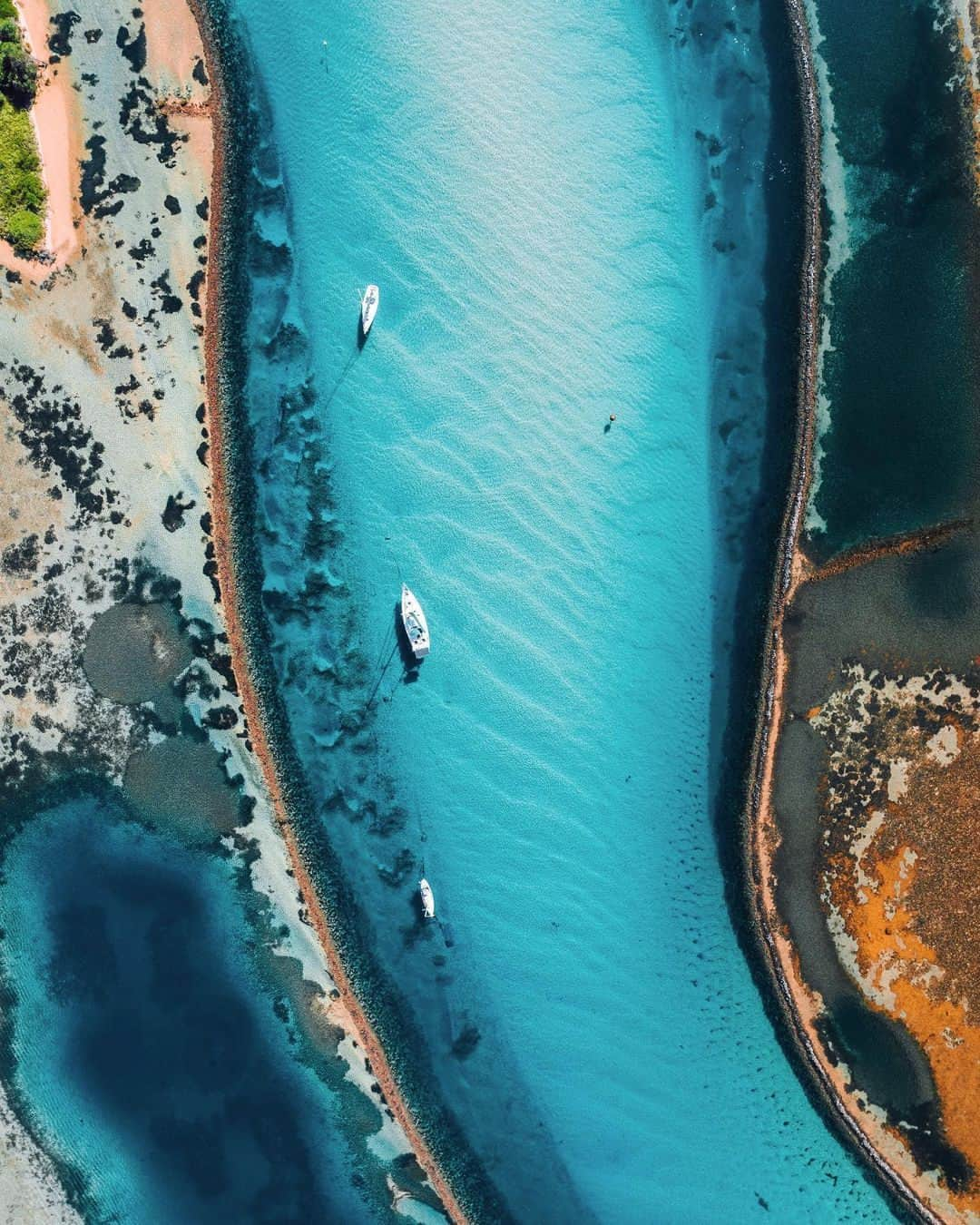 Coronaさんのインスタグラム写真 - (CoronaInstagram)「From Glasshouse Rocks to Montague Island, Narooma is teeming with unique ways to get out and enjoy nature. ⁣ ⁣ A great spot for whale watching, the area is also home to a diverse range of animals, like seals, seabirds and even penguins. ⁣ ⁣ If you’re interested in kayaking or boating, Wagonga Inlet (pictured), provides a large and shallow estuary that’s perfect for visitors with all levels of ability. ⁣ ⁣ #ThisIsLiving⁣ ⁣ 📸: @josh_burkinshaw ⁣ ⁣ #Australia」10月18日 0時30分 - corona