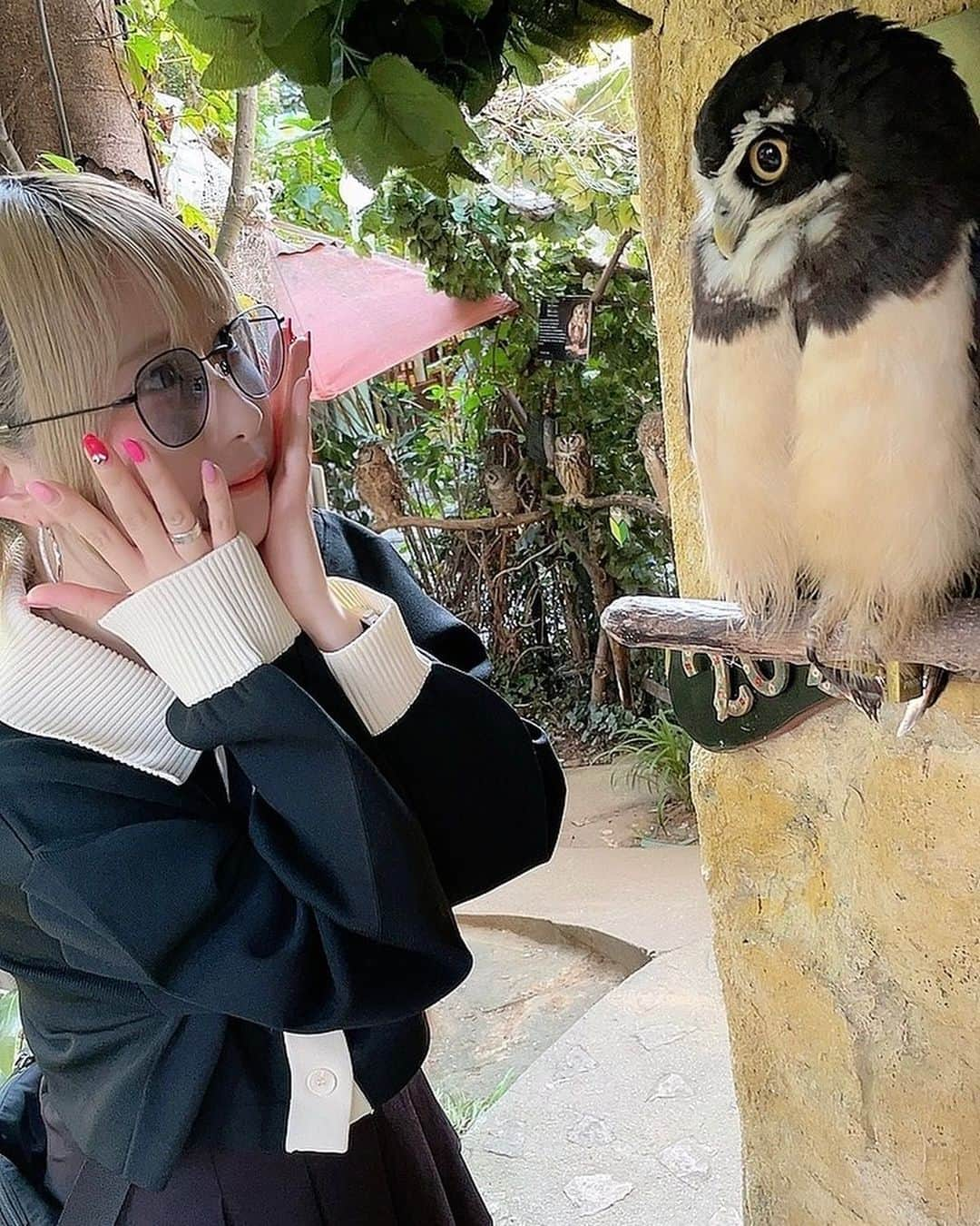 遠矢るいのインスタグラム：「フクロウ可愛すぎた🦉♡」