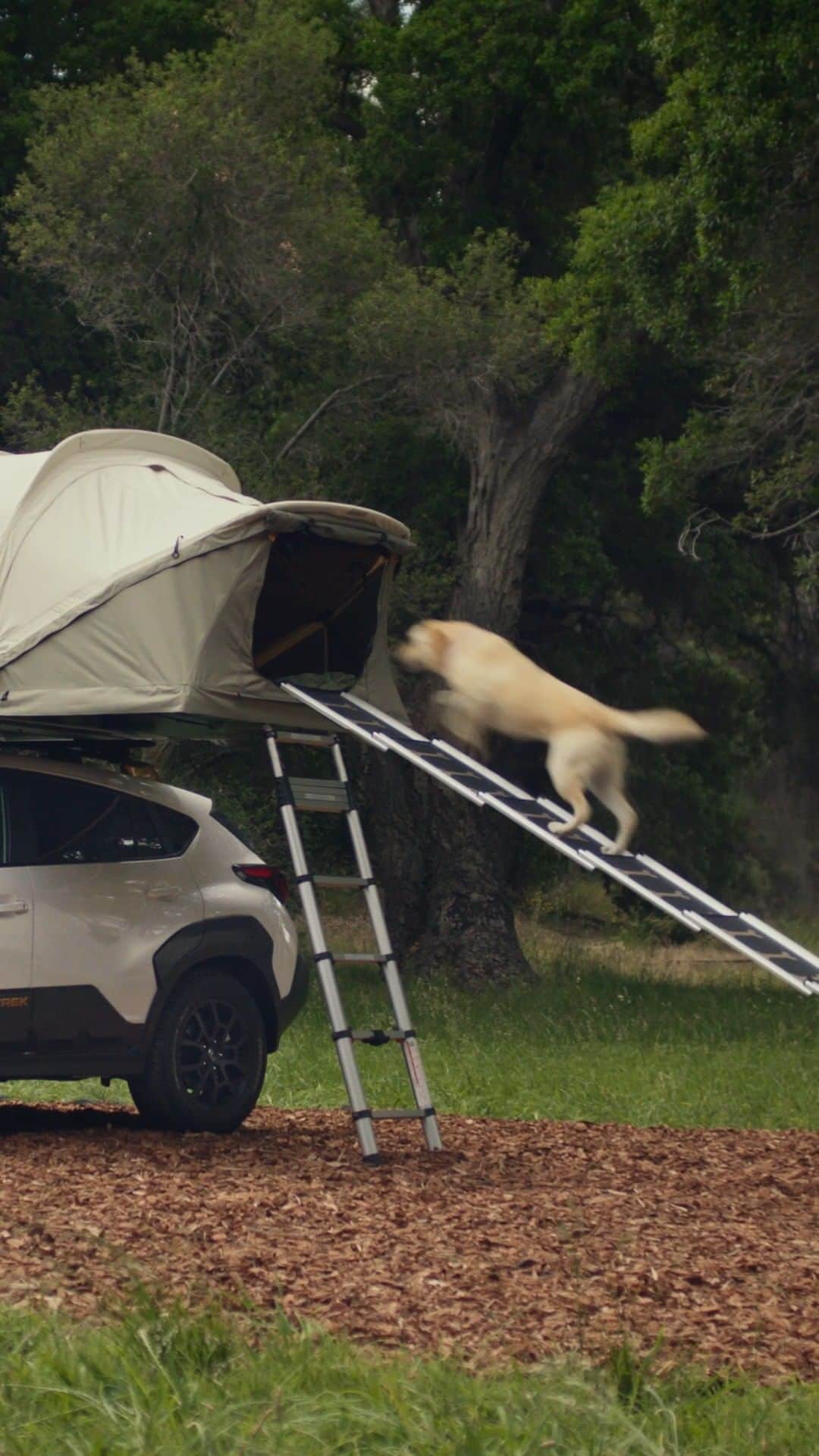 Subaru of Americaのインスタグラム