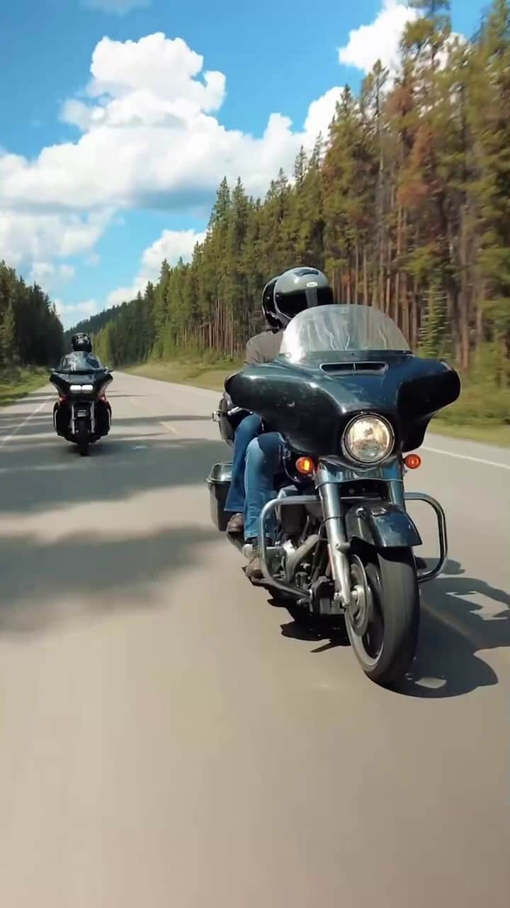 Harley-Davidsonのインスタグラム：「Break free this winter with a bucket list ride on an @EagleRider rental.​  Tap the link in bio to find out more about seasonal specials.​  #HarleyDavidson #EagleRider​」