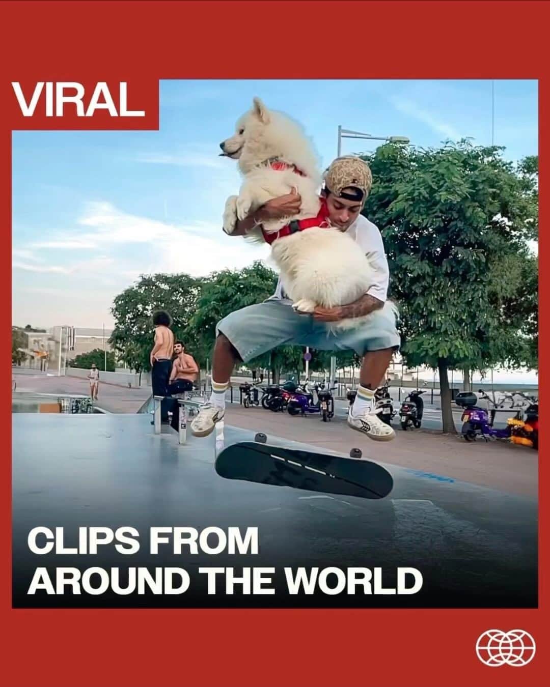 The Berricsのインスタグラム：「Clips from Around the World…   1) @jp_go - “Do a Kickflip!… with a Husky!!” 🐶  2) @sora_shirai - Ally oop bs 180 sw fs crook fakie flip out! 💥💥   3) @bubbajacksn - 🌪️🌪️🌪️   4) @chrischann - 360 flip to firecracker 🧨 in Bunny Slippers 🐰🥿   5) @skvosem - Mind Bending POV edit. 🤯🤯   #skateboardingisfun #berrics」