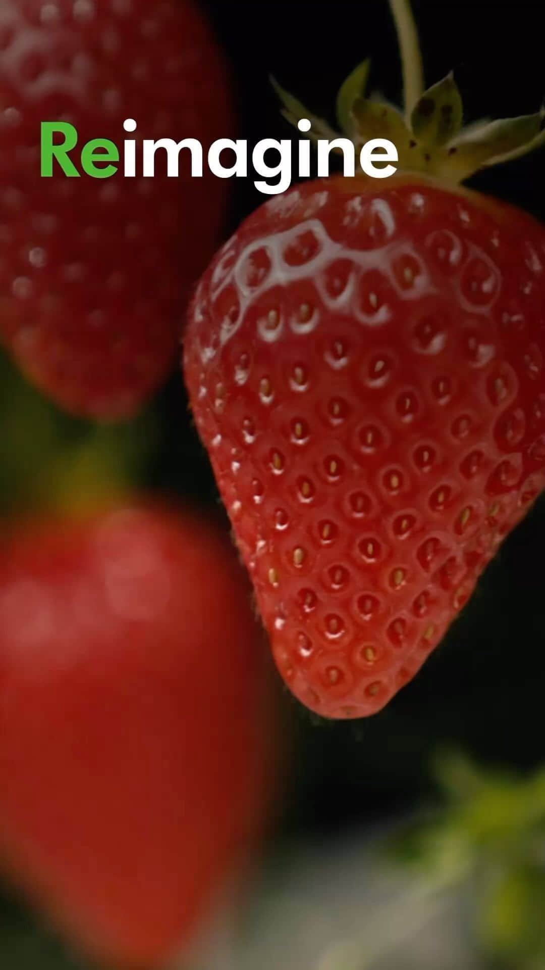 Dysonのインスタグラム：「Innovating new ways to grow strawberries  From LED lighting to extend the growing season, to testing new pick and pack vision technology with robotics. We’re always looking at using new technologies and ingenuity to grow Dyson Farming strawberries.  Our methods must be responsible, which is why we operate a circular farm system. At the heart of this is our anaerobic digester. It provides the power for our farm, ensuring all resources are used efficiently. Not only to grow our strawberries – but to benefit the farm as a whole.  Discover more using the link in bio.  #Dyson #DysonFarming #Strawberries #DysonTechnology」