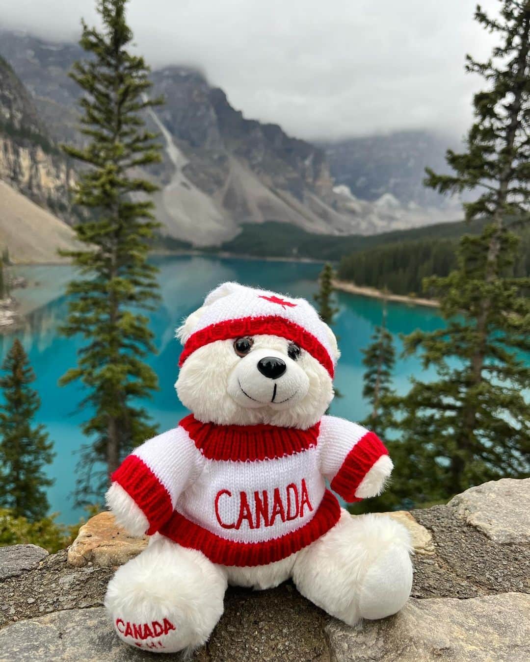 森戸知沙希さんのインスタグラム写真 - (森戸知沙希Instagram)「Moraine Lake  　 　 バンフで行った２つ目のレイク！ ここもみる角度によって水の色が変わって本当に綺麗でした！ こっちの色も好き🩵 もっとみてたかったけど結構雨強くなってきて断念。笑  　 　 This is Moraine Lake. The water was extremely beautiful!!! It’s the most beautiful lake I’ve ever seen 🩵 　  　 #canada #カナダ #カナダ留学 #留学生活 #banff #morainelake #travel」10月18日 2時13分 - chisaki__morito.official