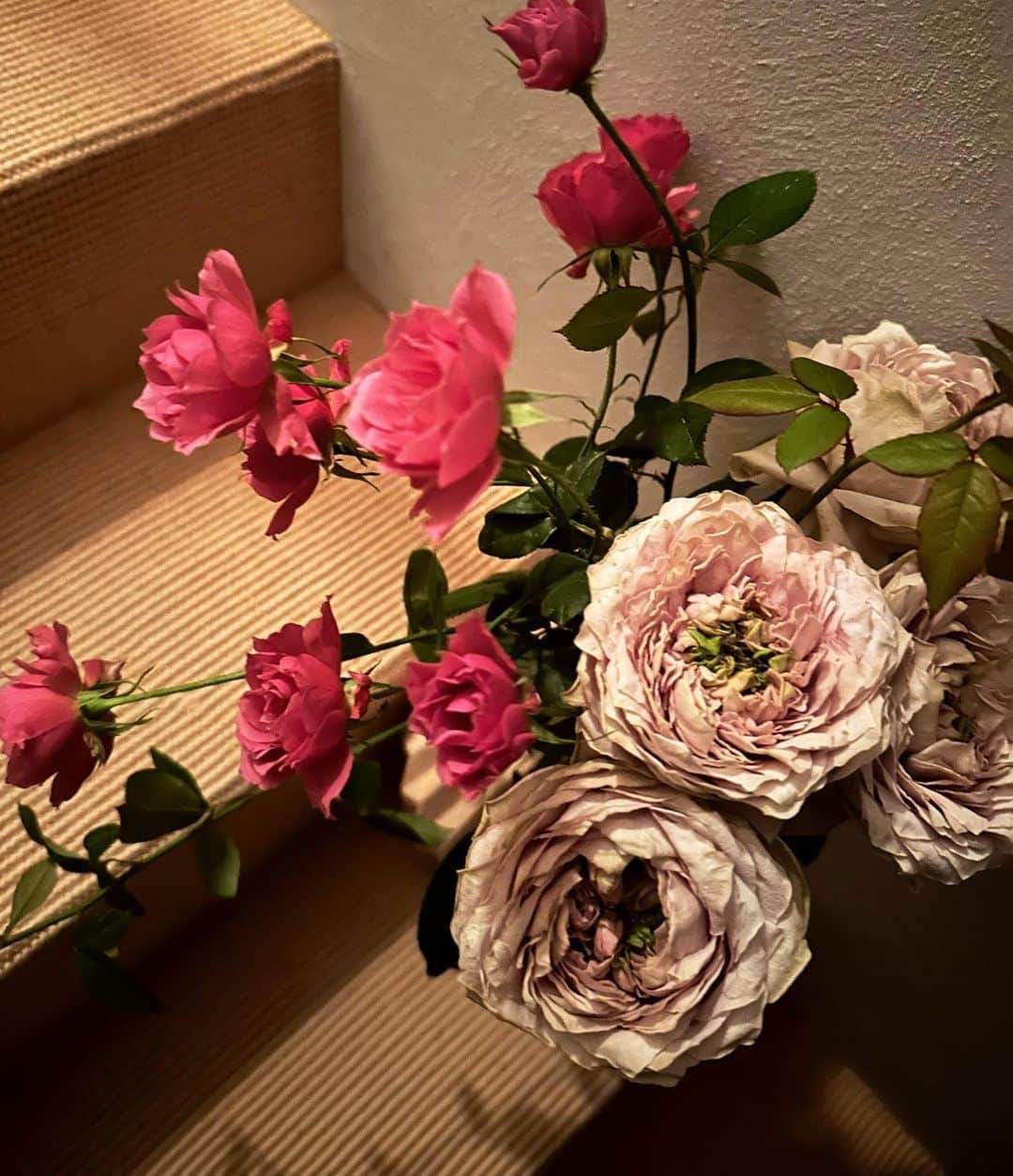 風間ゆみえさんのインスタグラム写真 - (風間ゆみえInstagram)「いただいた花束をばらして花器に合わせて花を差し直していたらあっという間で、夢中になっていると時の経つのが早い。  明日の朝のヨガはお休みだな。」10月18日 3時38分 - yumie_kazama