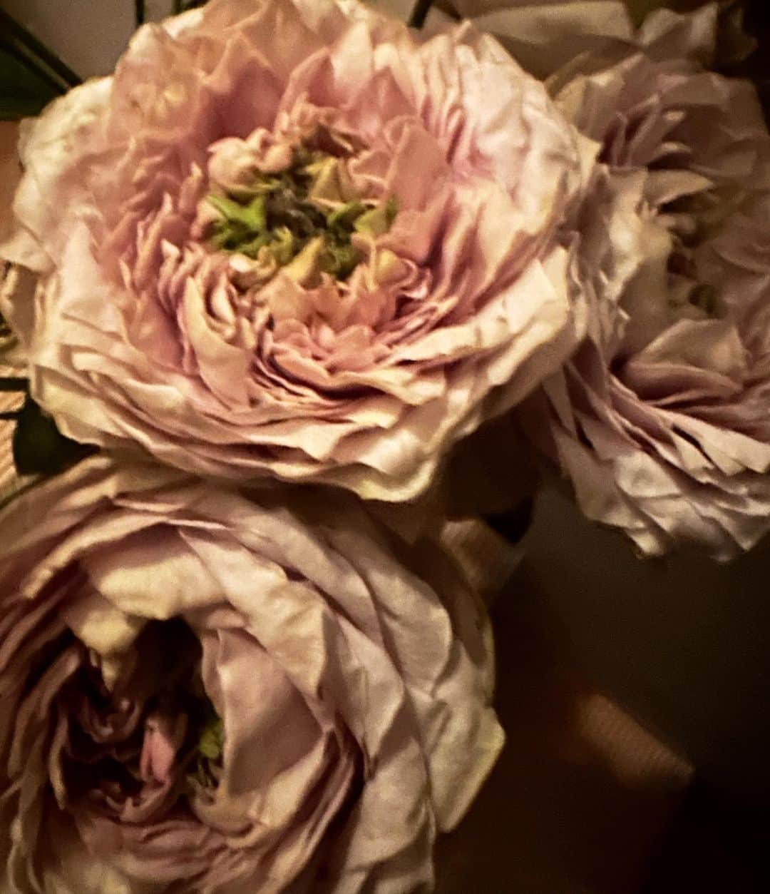 風間ゆみえのインスタグラム：「いただいた花束をばらして花器に合わせて花を差し直していたらあっという間で、夢中になっていると時の経つのが早い。  明日の朝のヨガはお休みだな。」