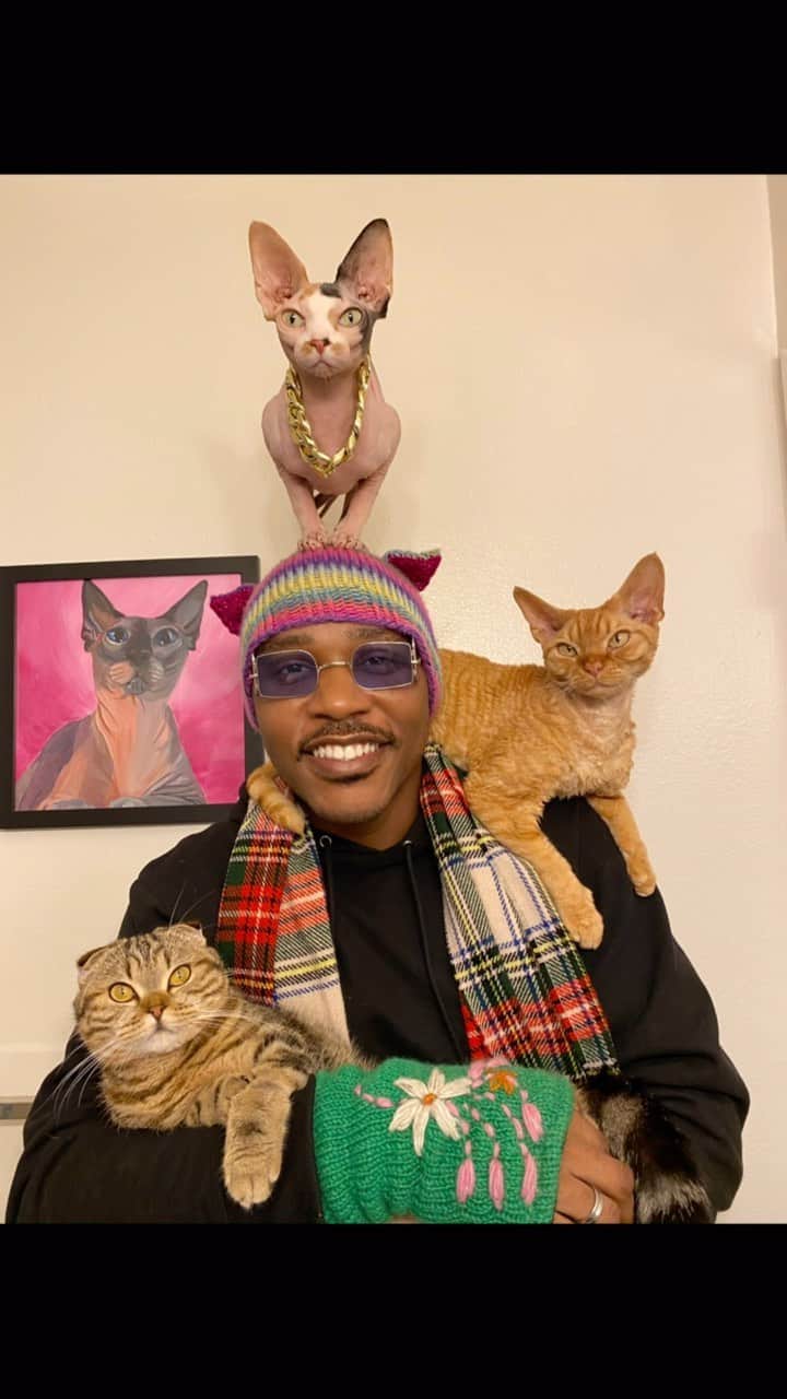 MSHO™(The Cat Rapper) のインスタグラム：「We don’t want anything, we was just trying to put a smile on at least ONE persons face today. We care about you and love you all. Thanks for being here. Thanks for loving your cats. Take care. Let us know if it worked? ❤️ #CataMan #CatMom #CatDad #CatLady #MoGang」