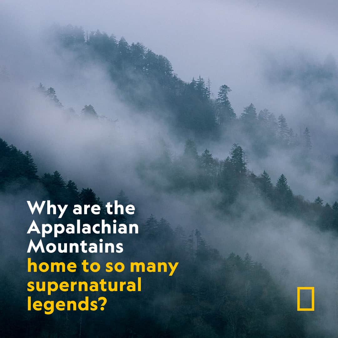 ナショナルジオグラフィックのインスタグラム：「Have you heard about #HauntedAppalachia? Legend has it the forest is full of cryptids and the paranormal—eerie stories set in the Appalachian Mountains are rampant on social media. So, why do people believe the supernatural creatures said to roam these forests are intimately tied to the landscape? Find out at the link in bio.  Photograph by @gerdludwig」